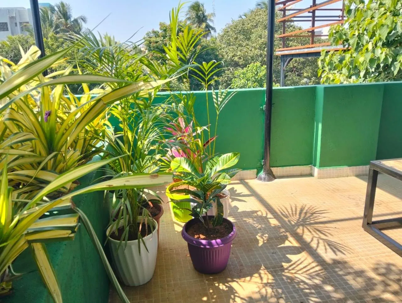 Garden in ASSHAPPYSTAYINN HOTEL