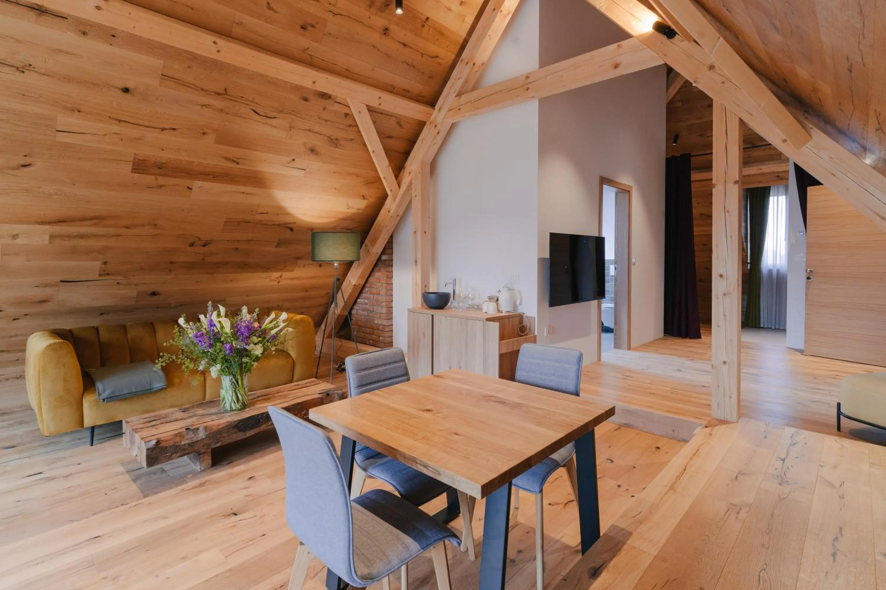 TV and multimedia in PIRA HOTEL