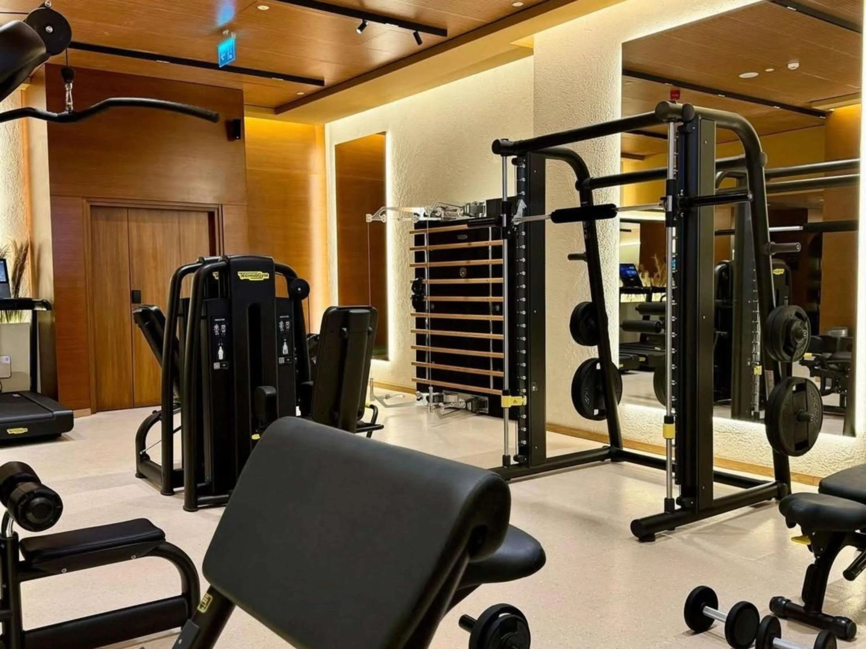 Fitness centre/facilities in Swissôtel Tbilisi
