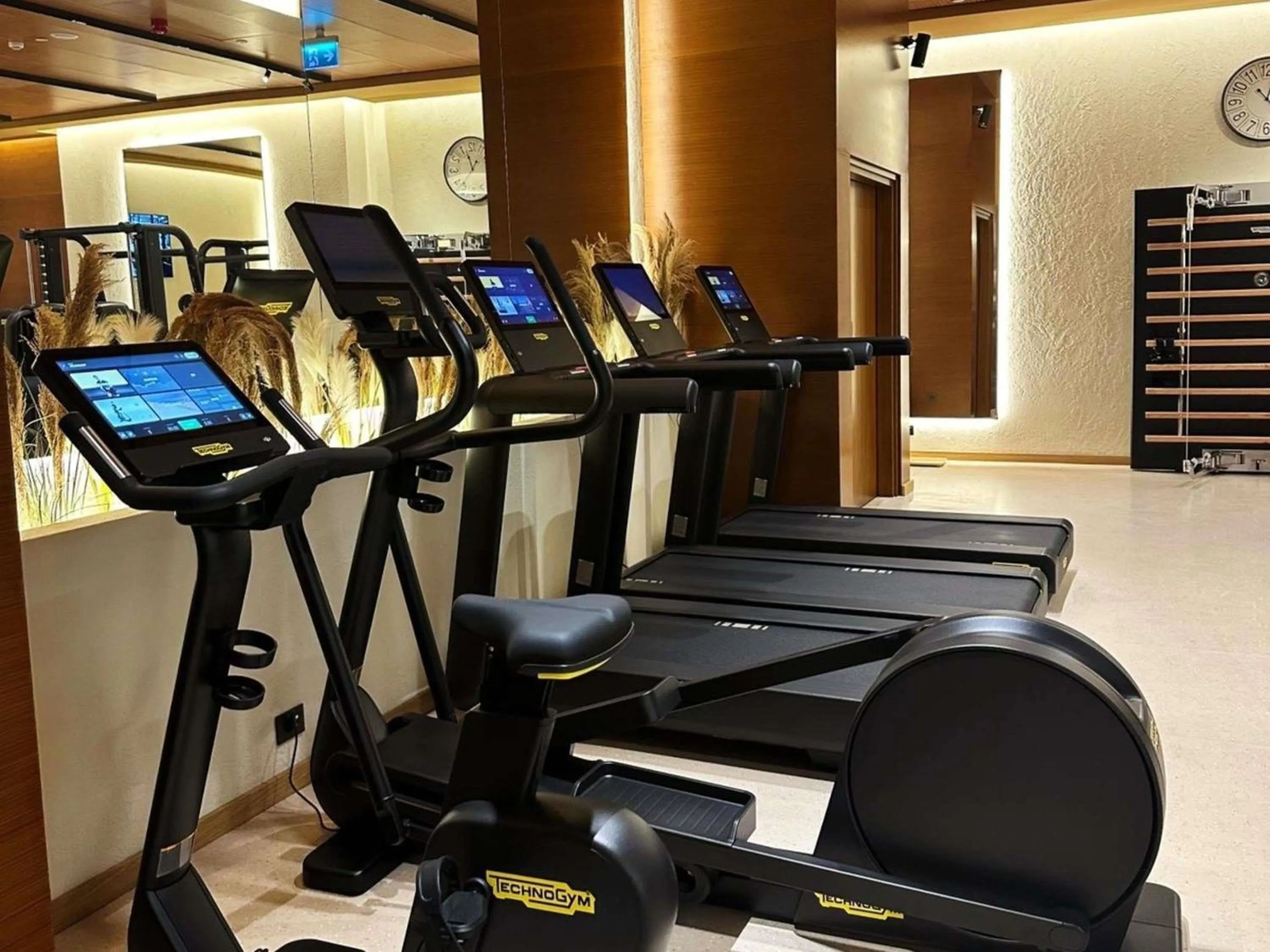 Fitness centre/facilities in Swissôtel Tbilisi