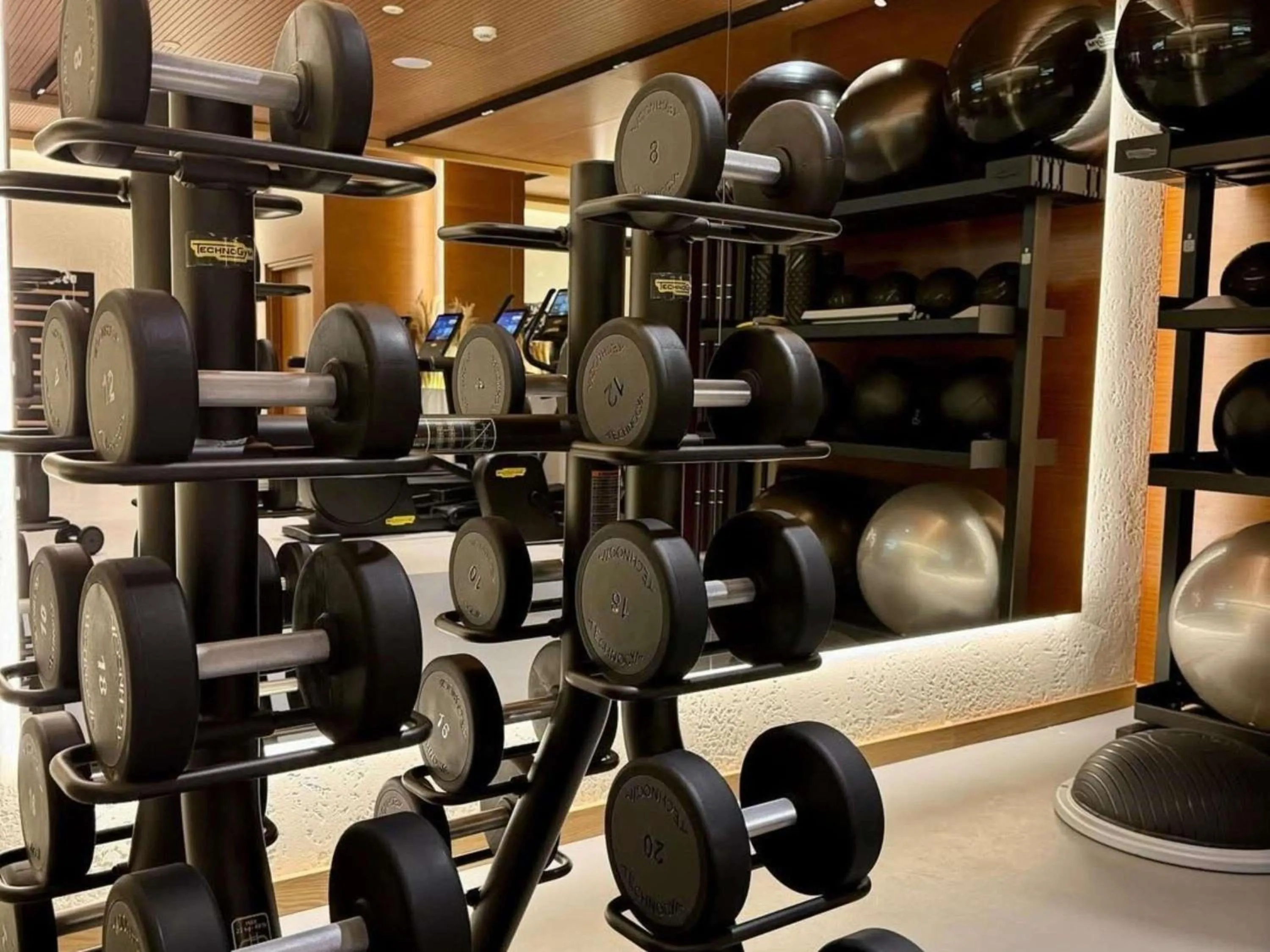 Fitness centre/facilities in Swissôtel Tbilisi