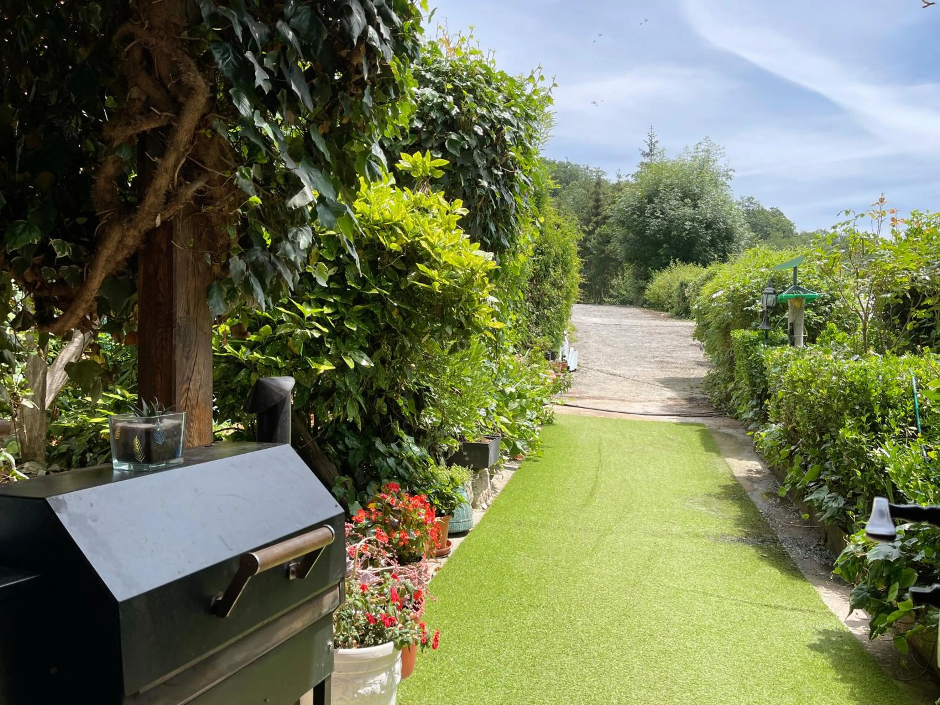 Natural landscape in Hotel Peruskenea