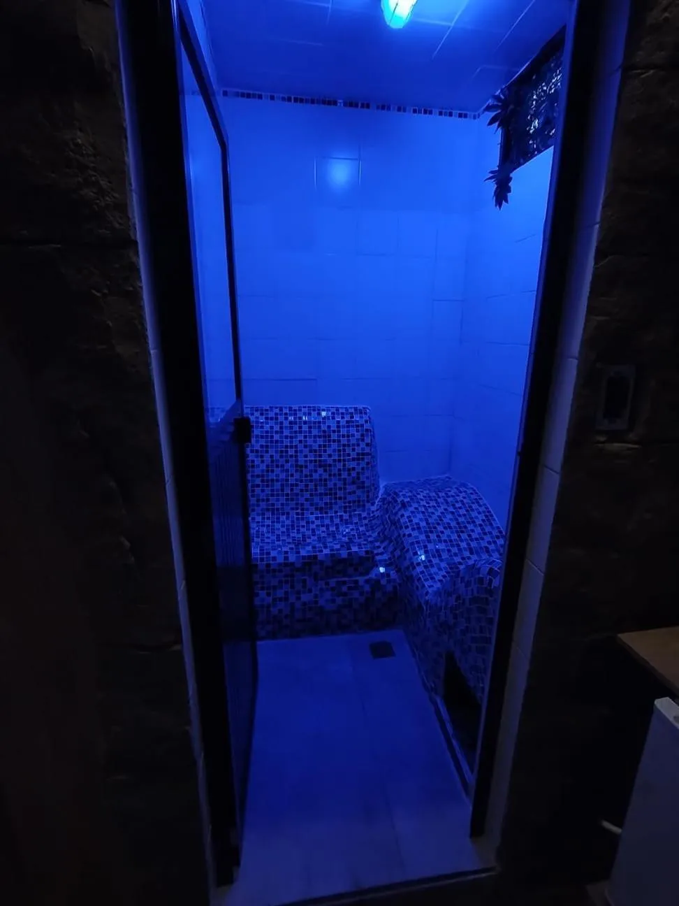 Sauna in Hotel Grand ilama