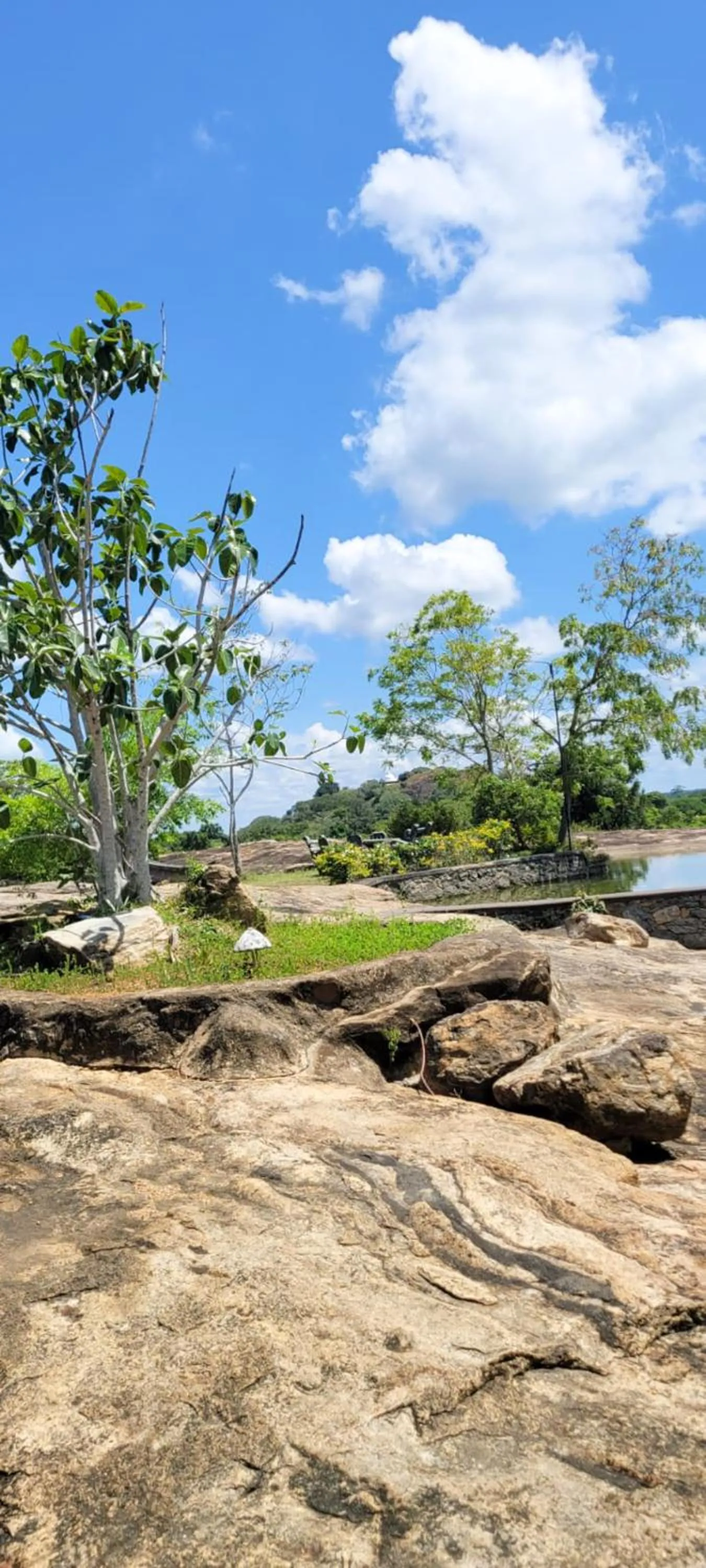 Natural landscape in Vintara Eco Resort