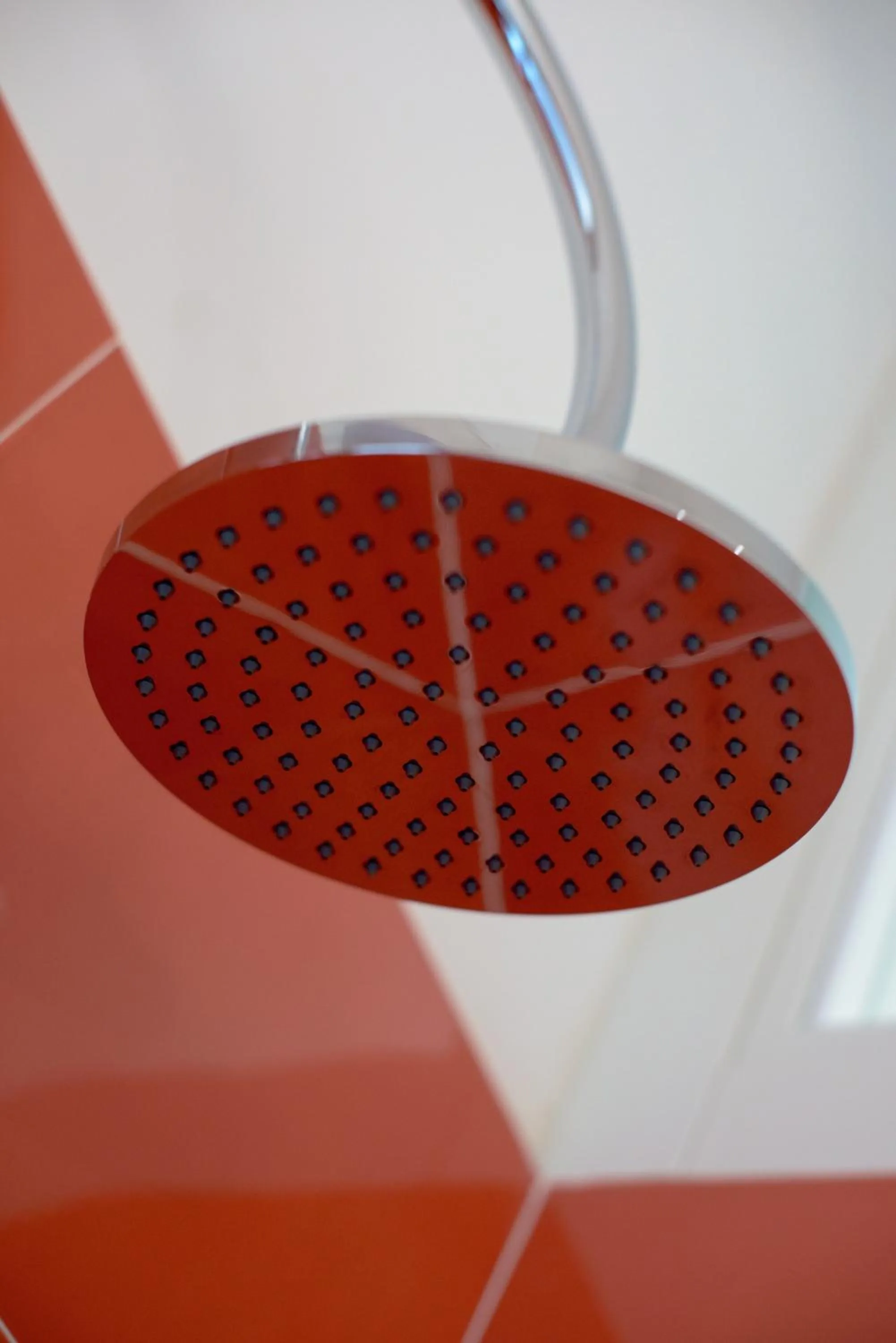 Shower in Rocciola Home