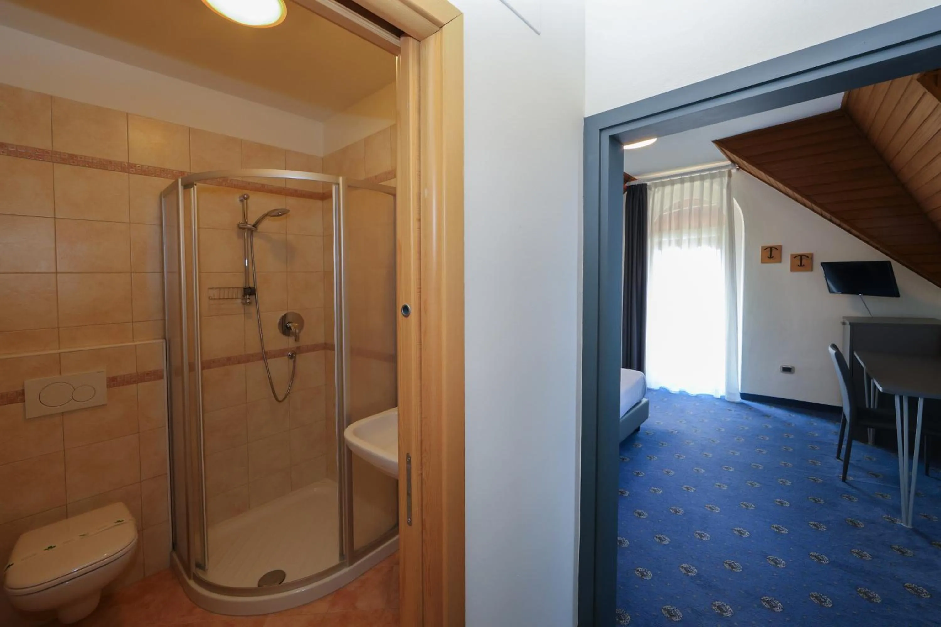 Shower in Hotel Regina del Bosco