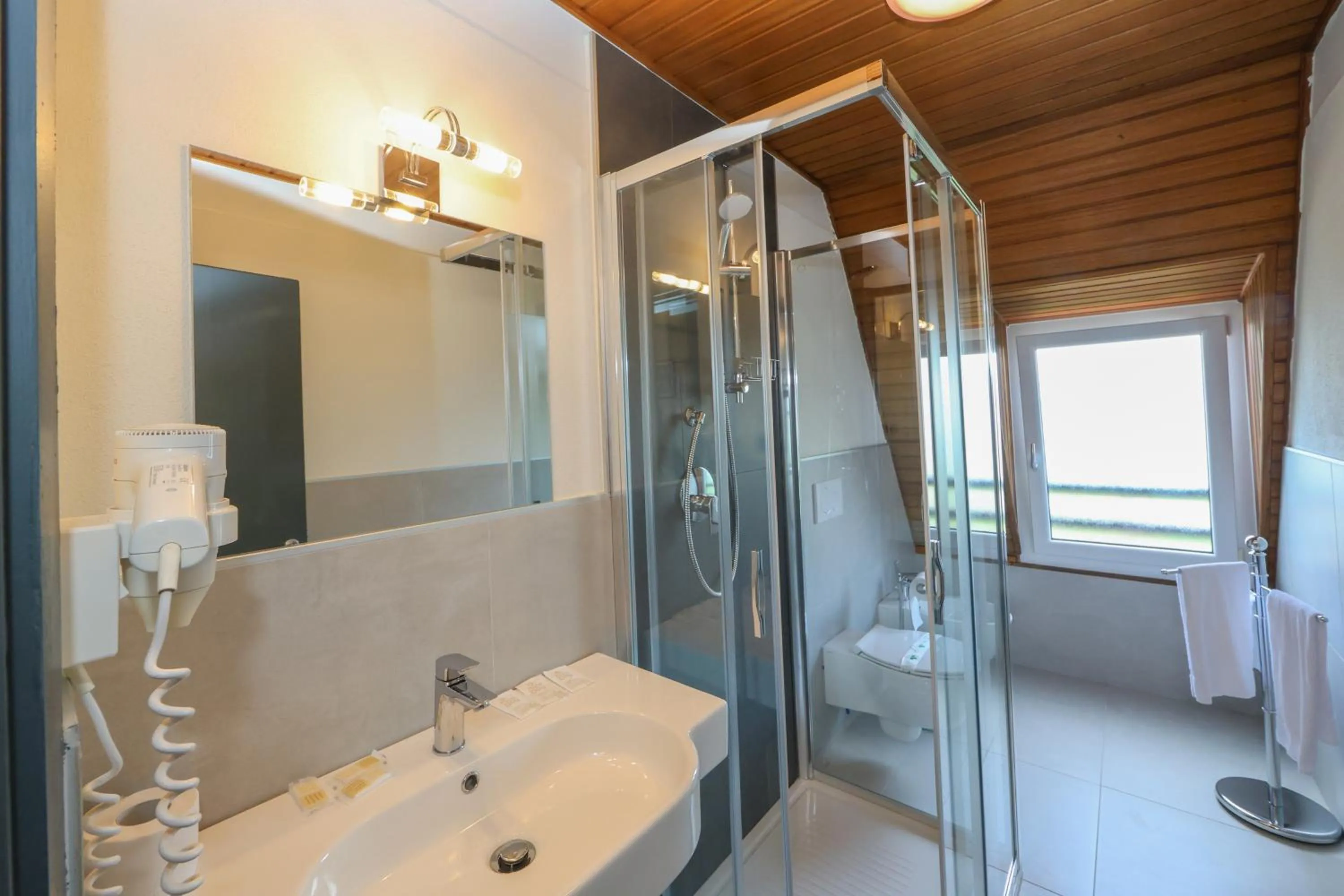 Bathroom in Hotel Regina del Bosco