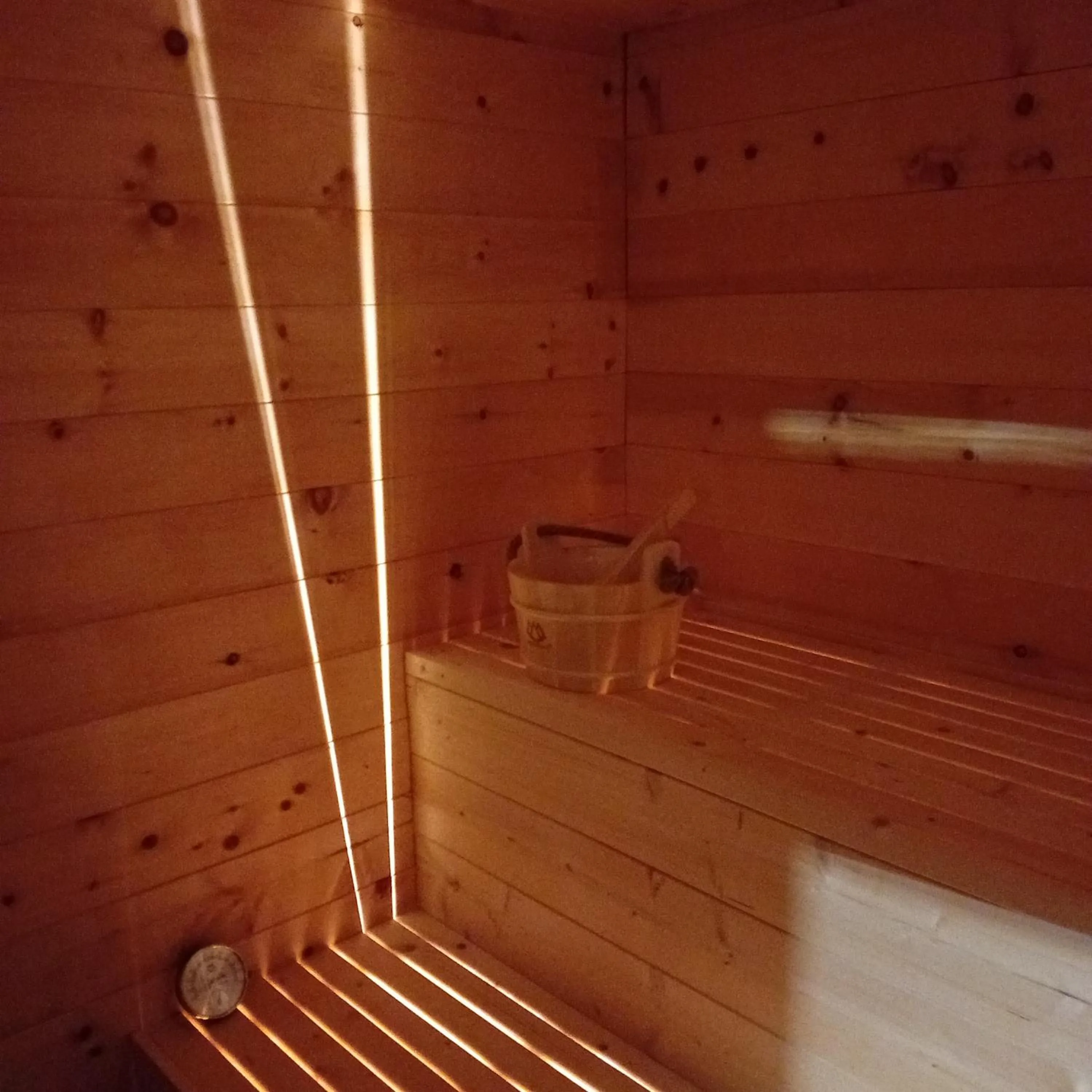 Spa and wellness centre/facilities in Hotel Regina del Bosco