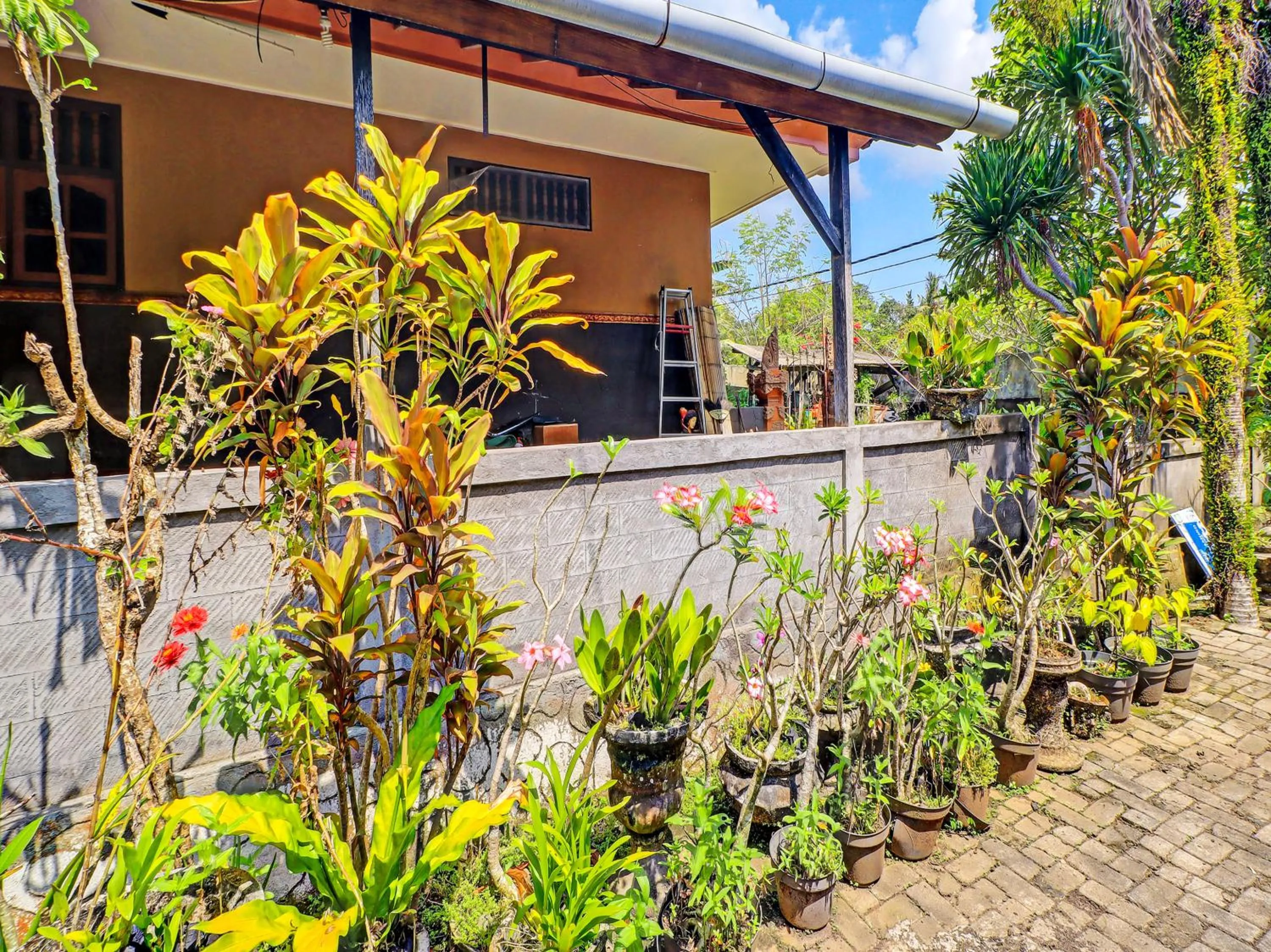 Garden in Hotel O Sekar Jagat Near Pantai Baluk Rening