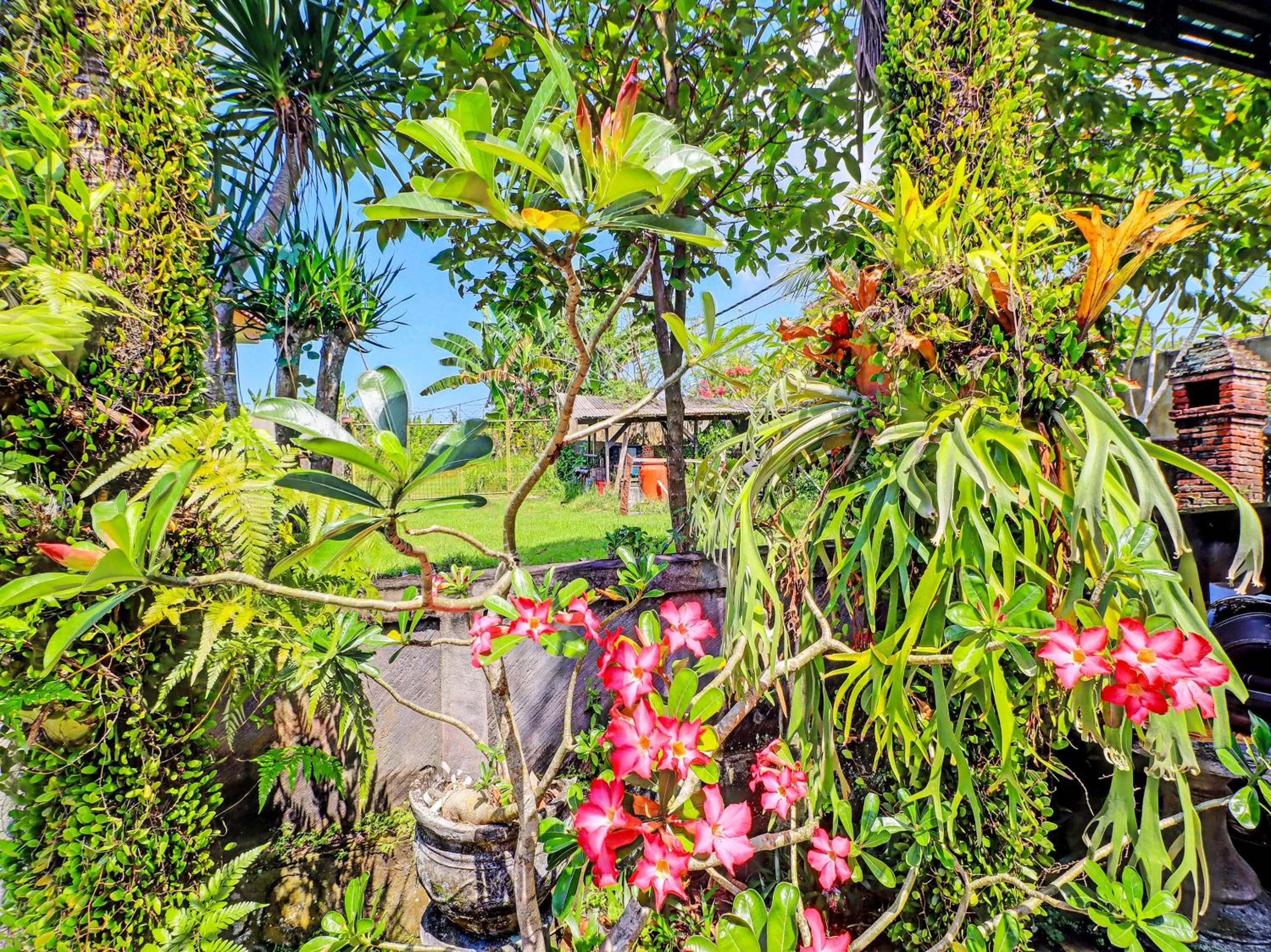 Garden in Hotel O Sekar Jagat Near Pantai Baluk Rening
