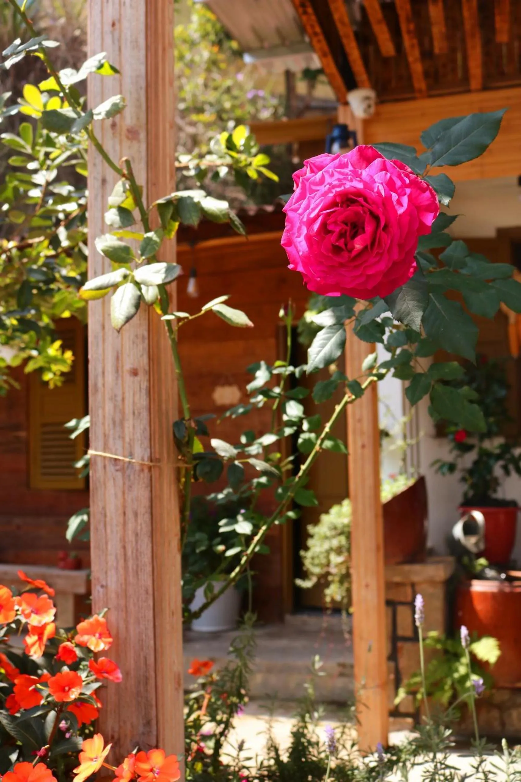 Garden in Soul PnB Homestay