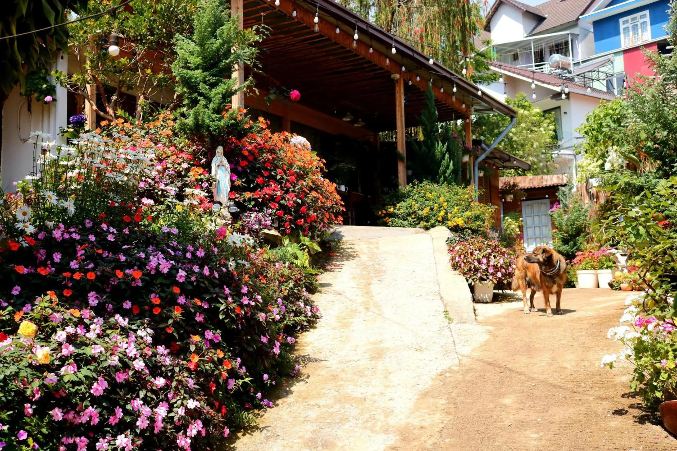 Garden in Soul PnB Homestay