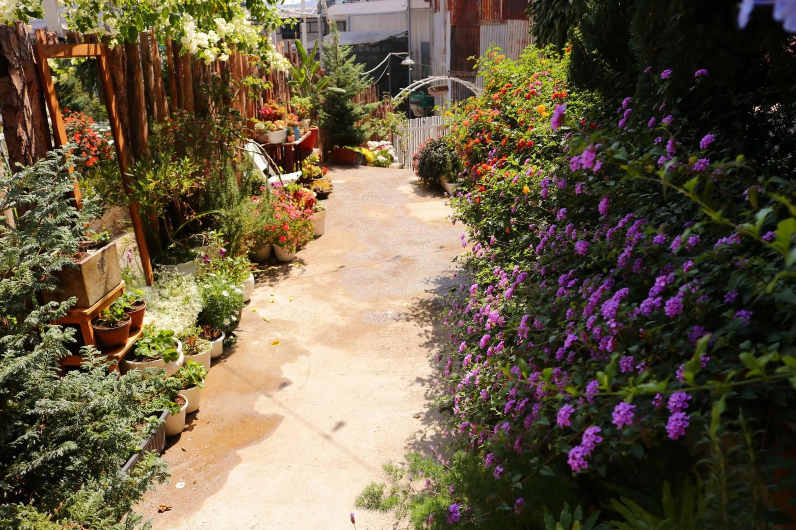 Garden in Soul PnB Homestay