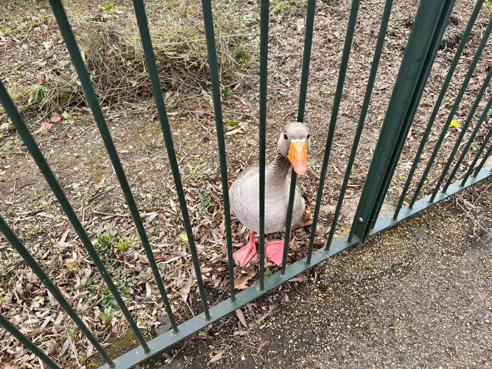 Natural landscape in The Finsbury Deluxe Apartments