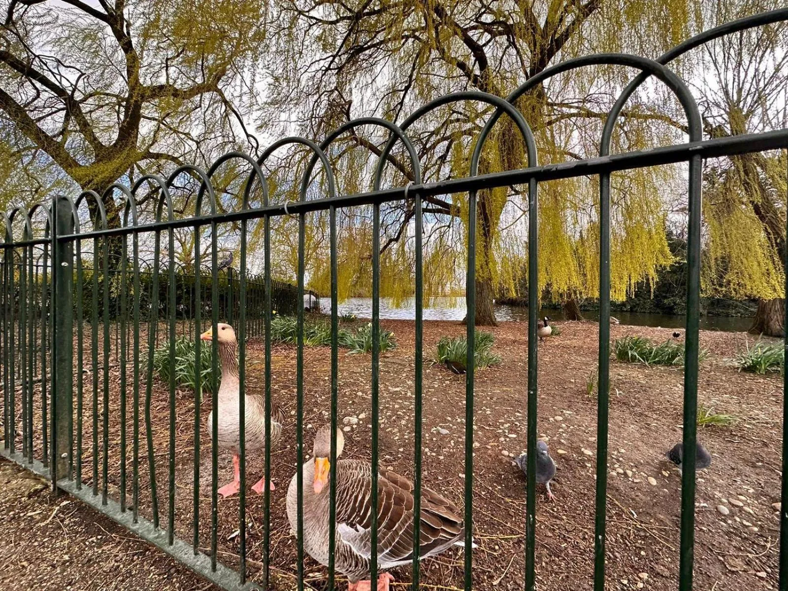 Natural landscape in The Finsbury Deluxe Apartments
