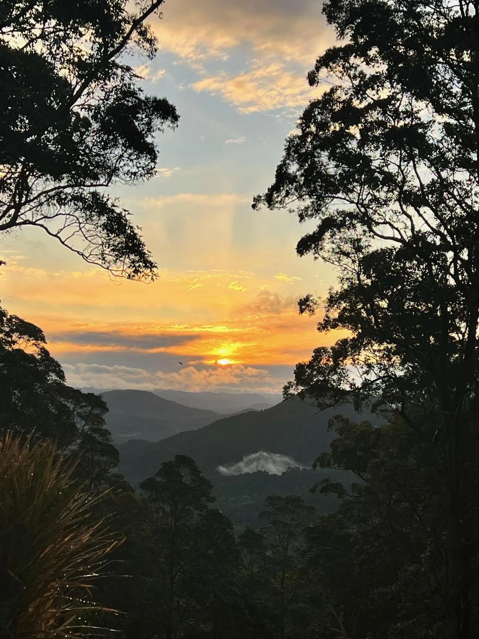 Natural landscape in Mahalo Accomodation