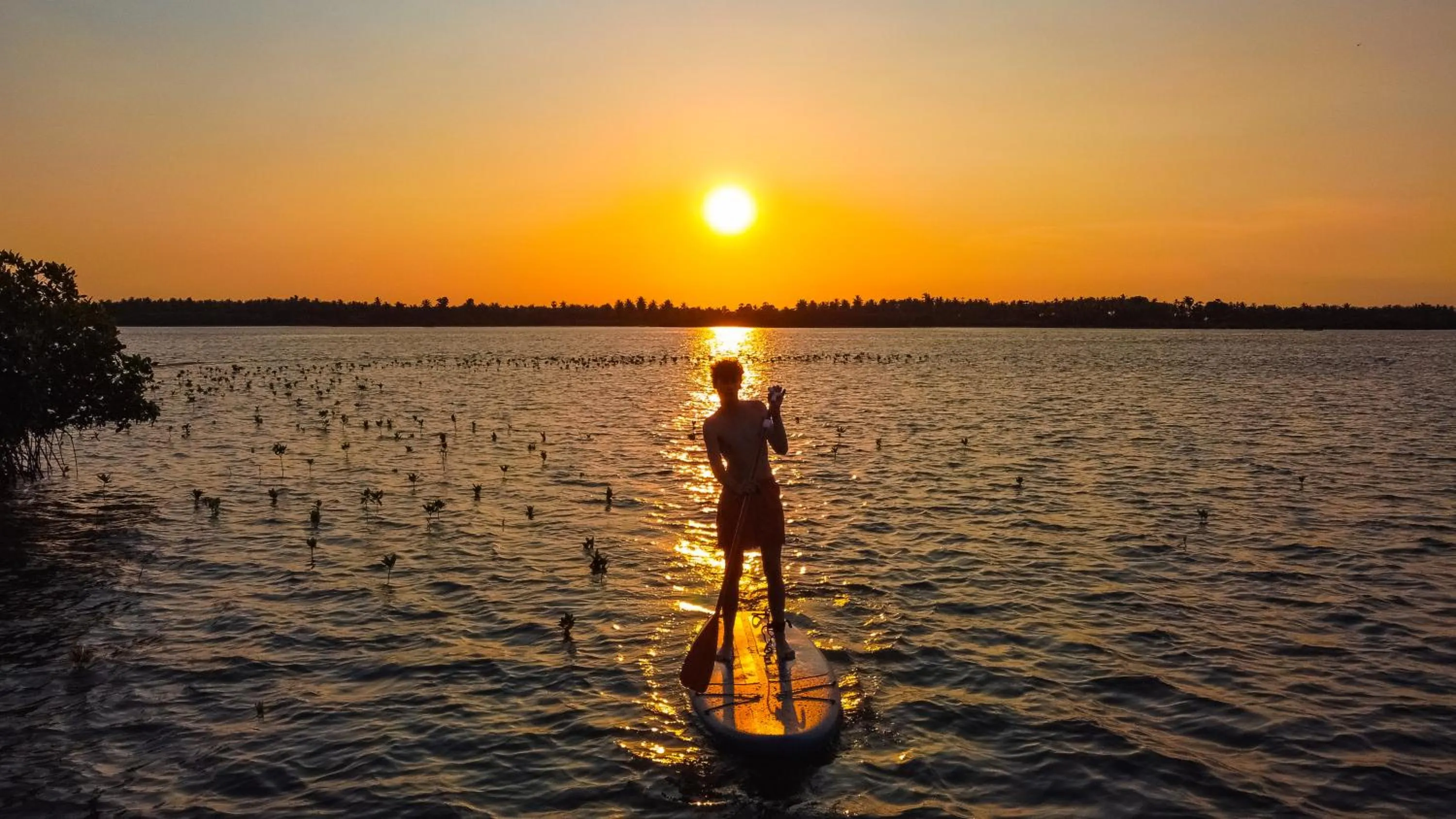 Activities in Koddu Kalpitiya