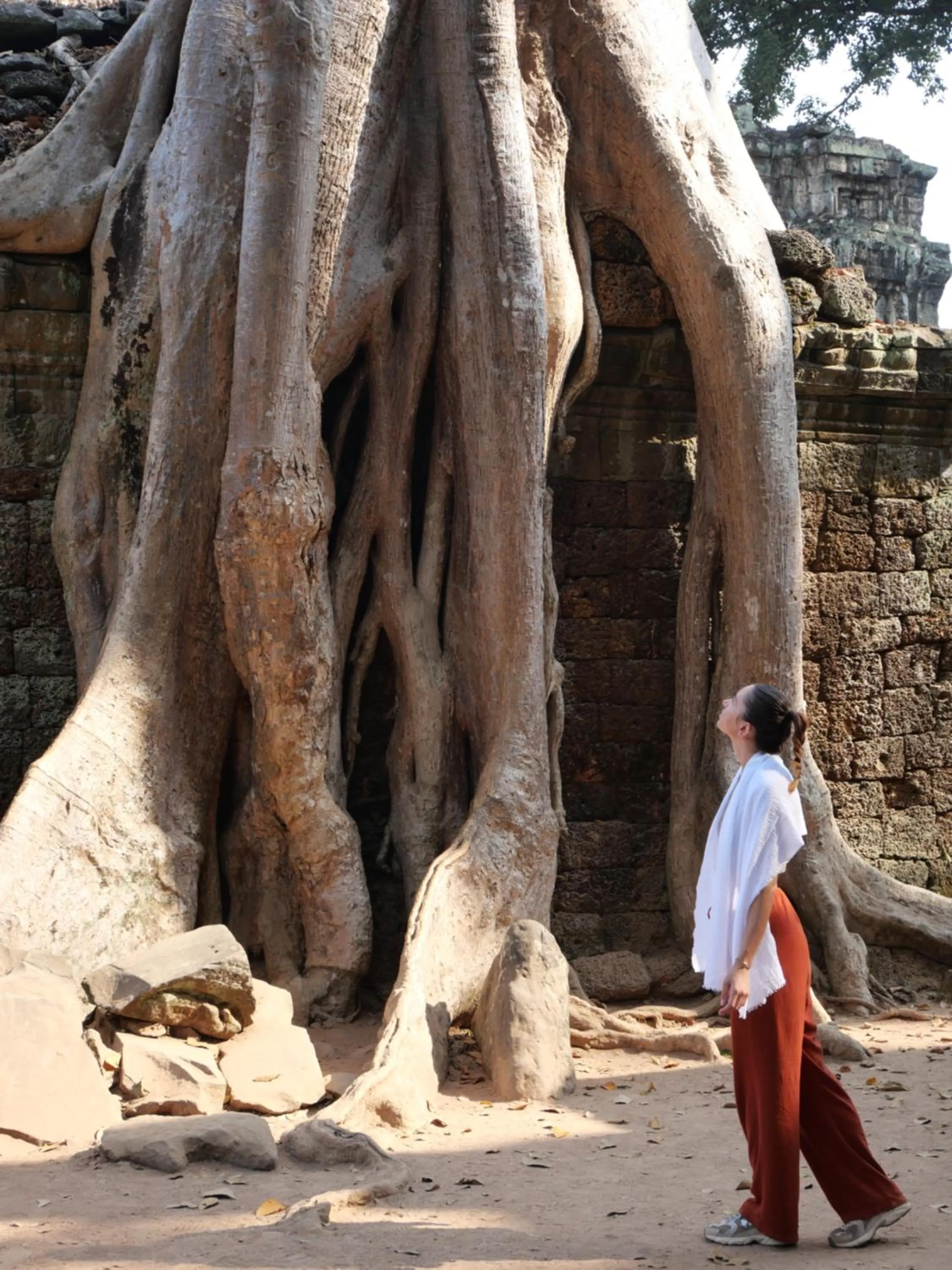 Nearby landmark in TUI BLUE Angkor Grace Wellness Resort
