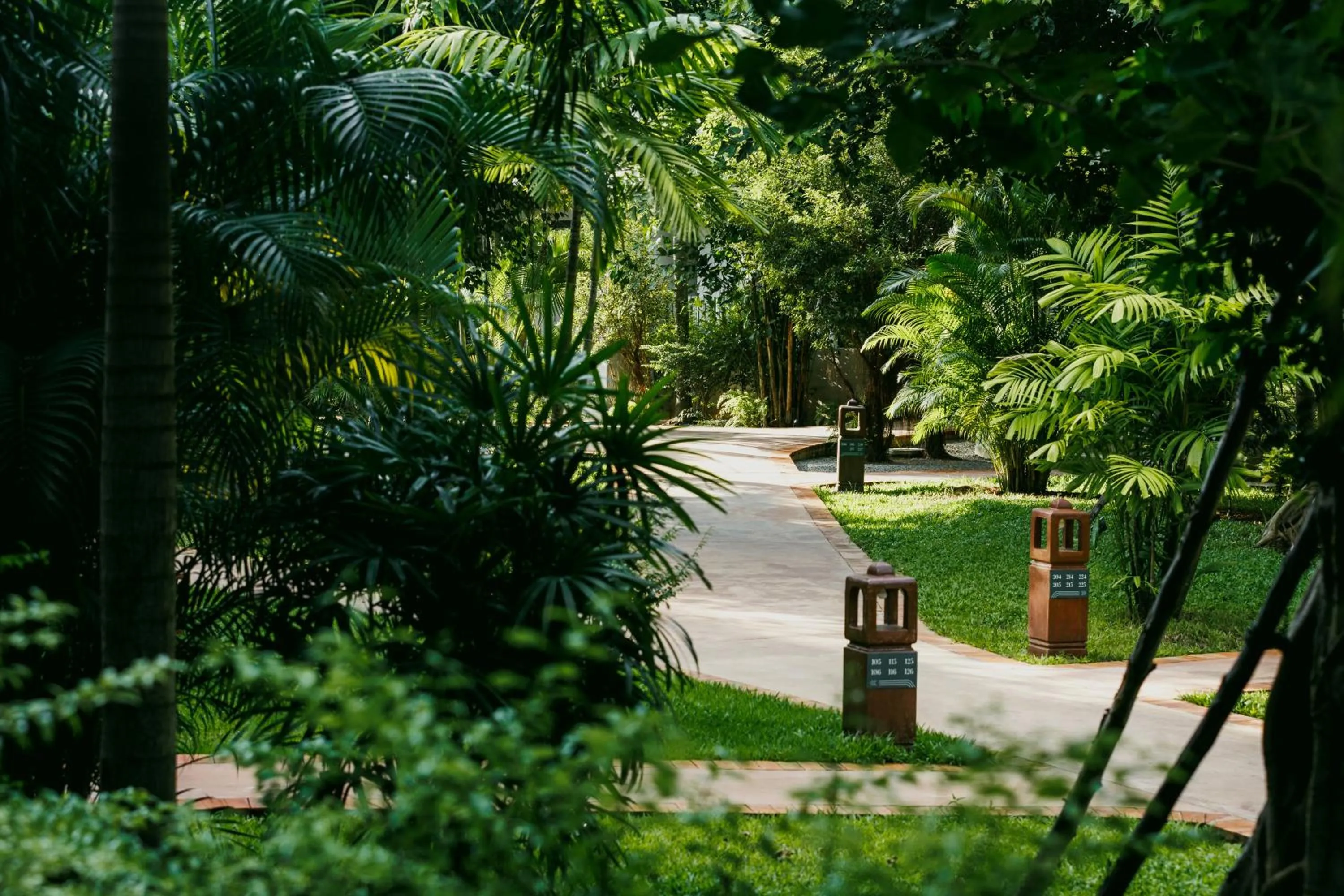 Garden in TUI BLUE Angkor Grace Wellness Resort