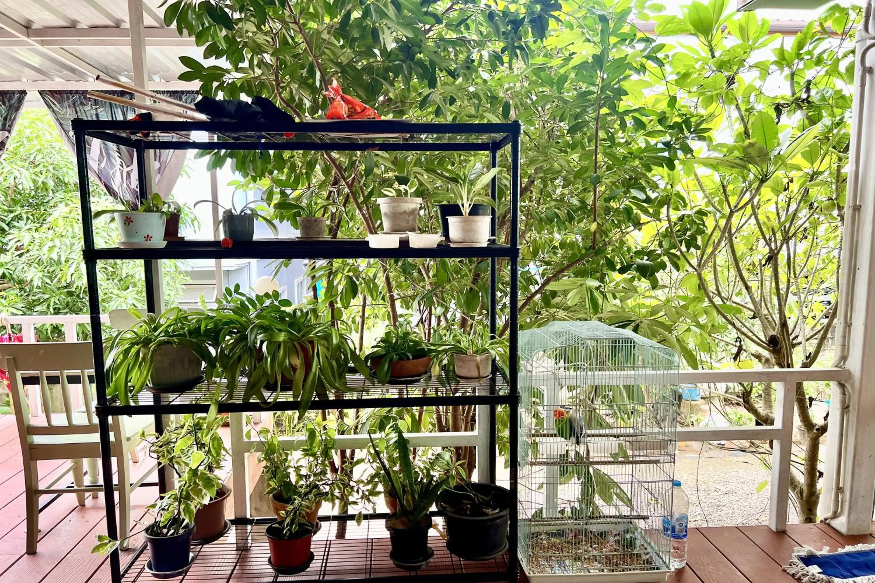 Balcony/Terrace in Bann Kam B&B