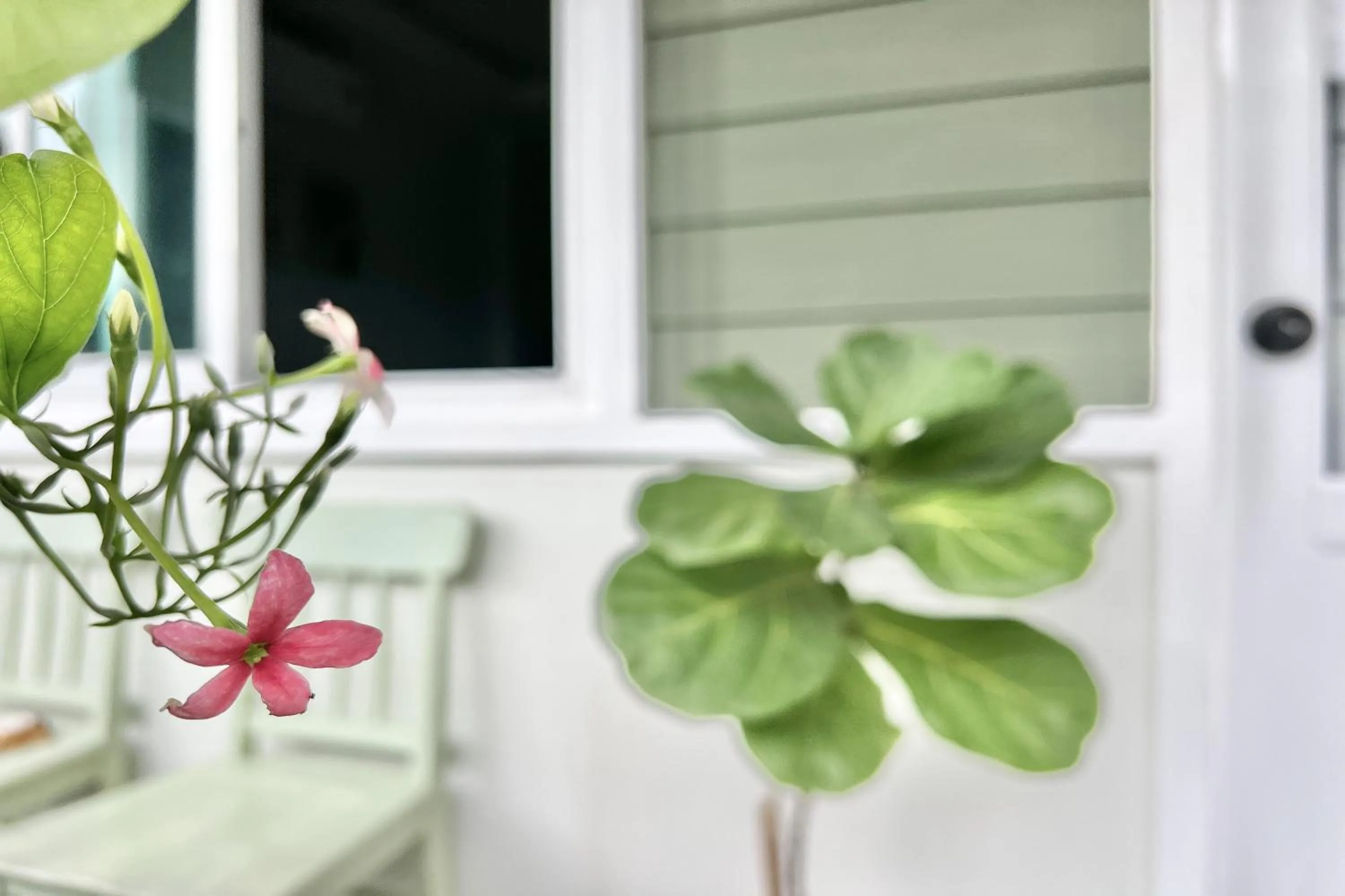 Garden view in Bann Kam B&B