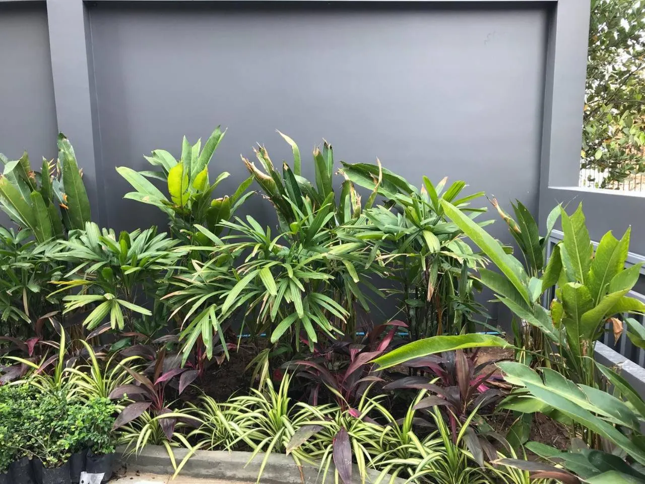 Children play ground in Hotel Chom Chao City