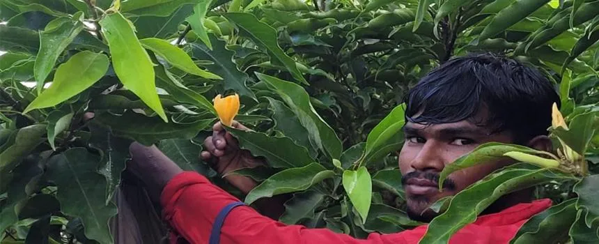 Garden in The Riverstone Agro Farm