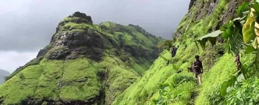 Mountain view in The Riverstone Agro Farm