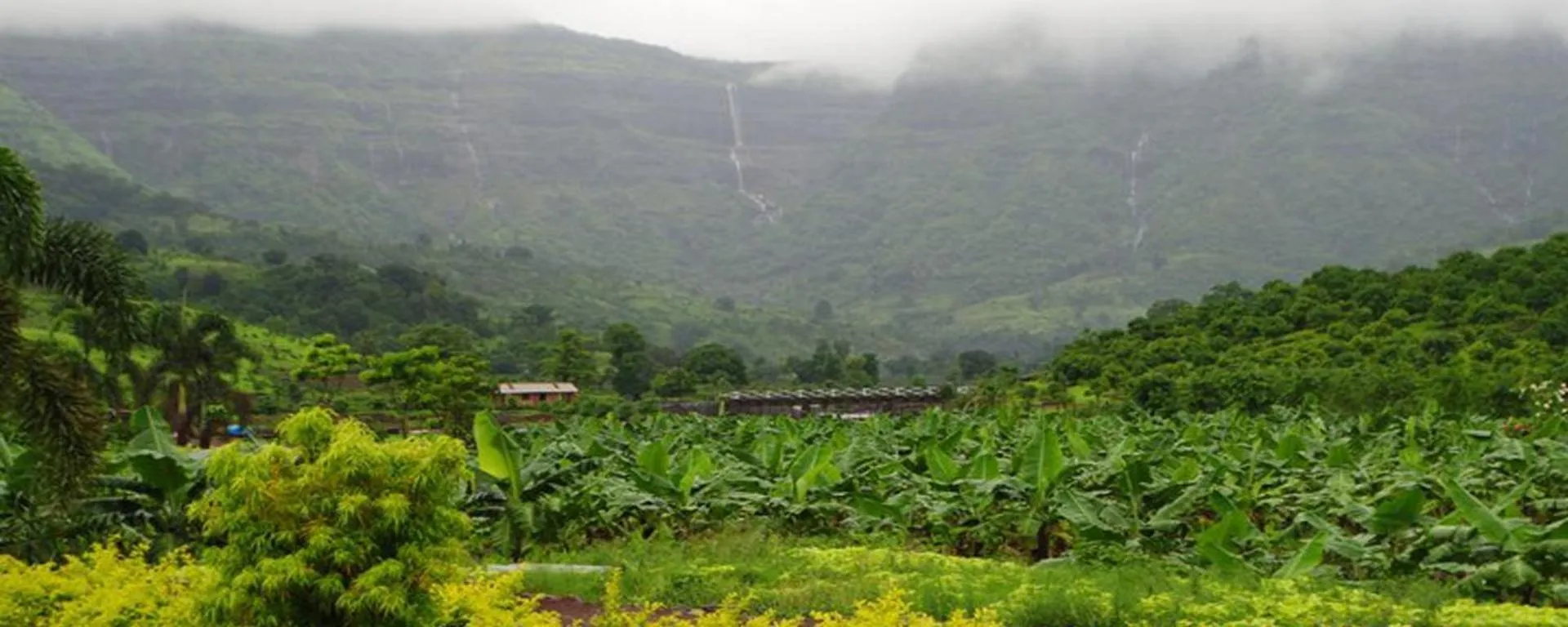 Mountain view in The Riverstone Agro Farm