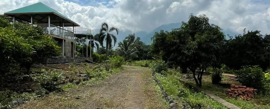 Garden view in The Riverstone Agro Farm