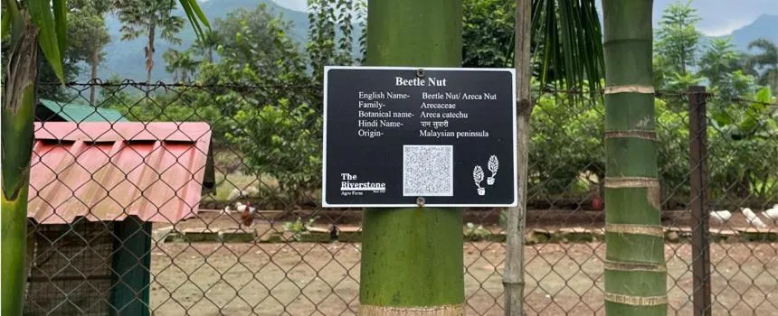 Garden in The Riverstone Agro Farm