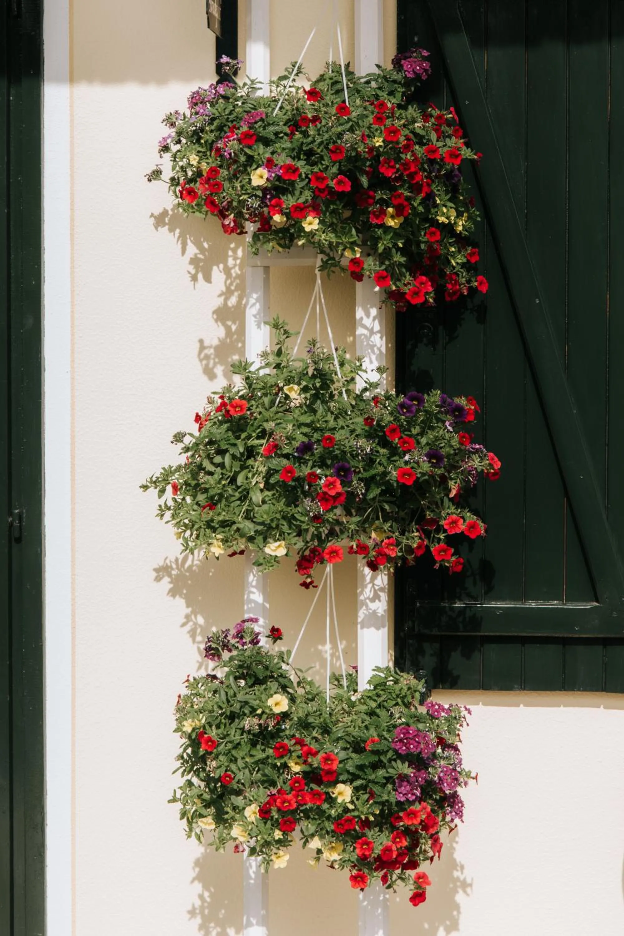 Garden in Casa Joop Dolce far Niente