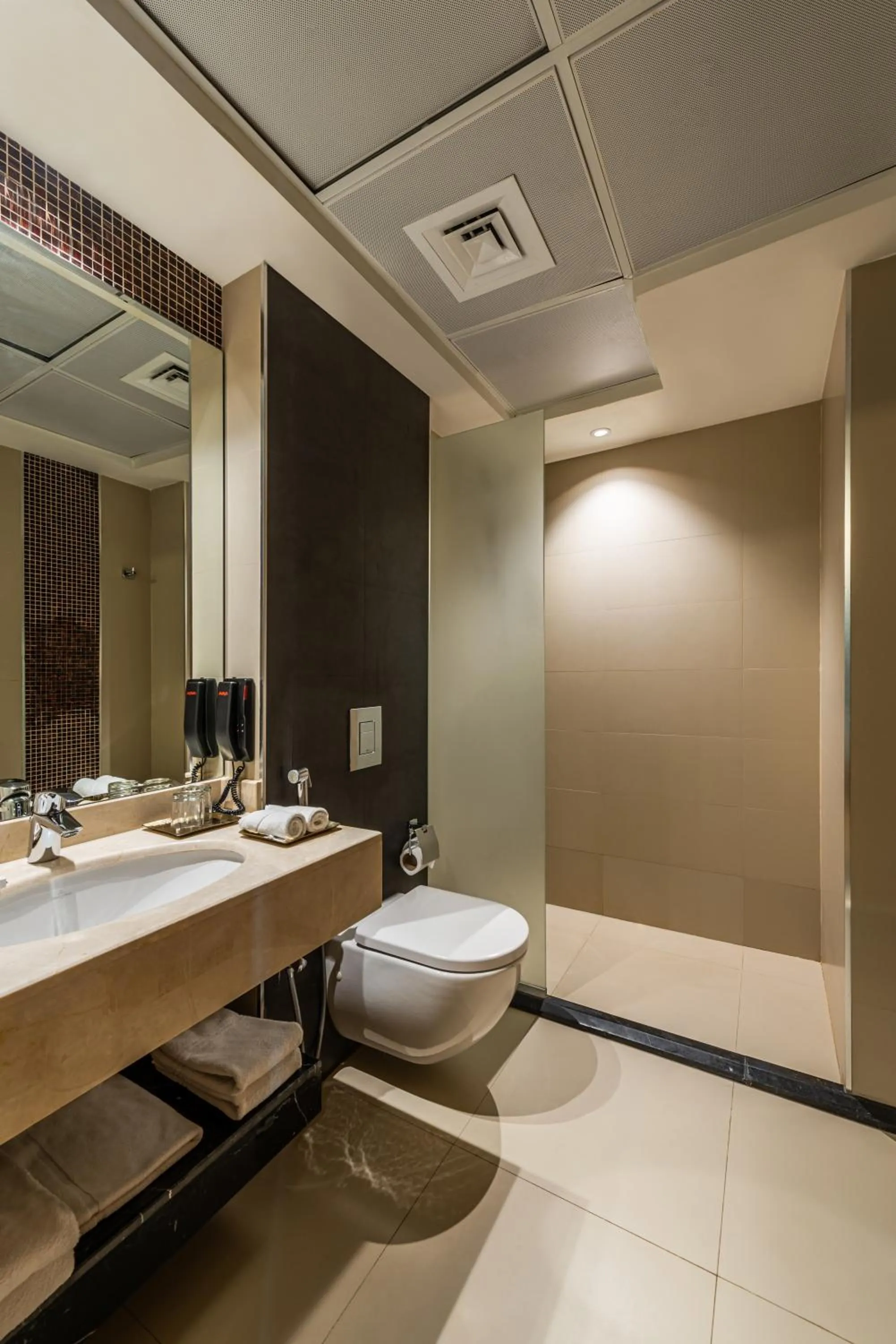 Bathroom in HDB Financial District