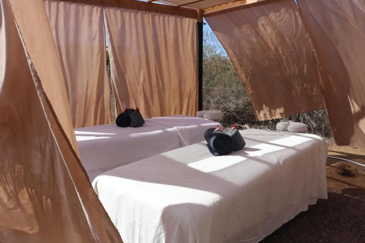 Massage, Bed in EXPERIENCE