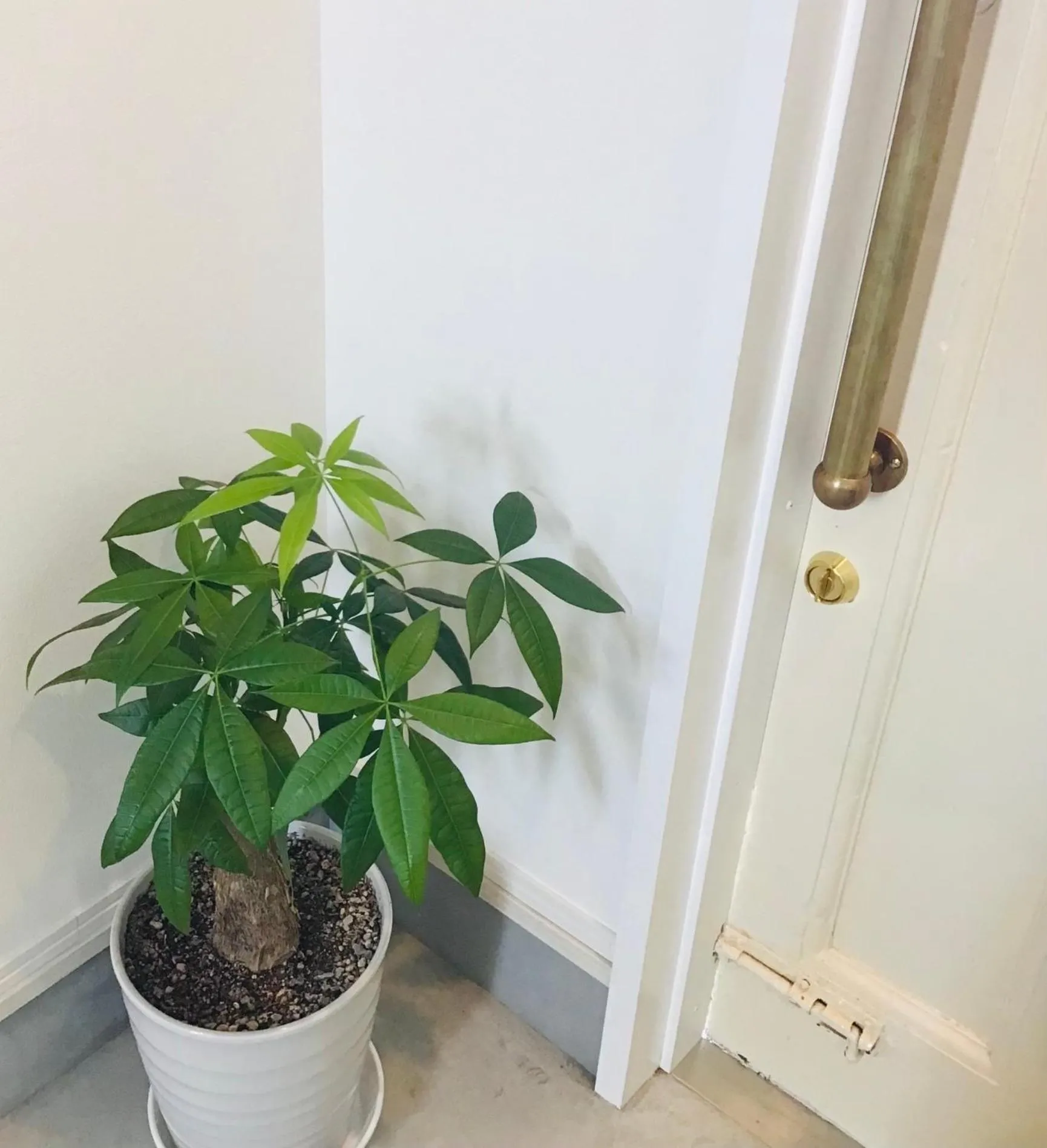 SHIMAGO SURFRIDER - Vacation STAY 85442v