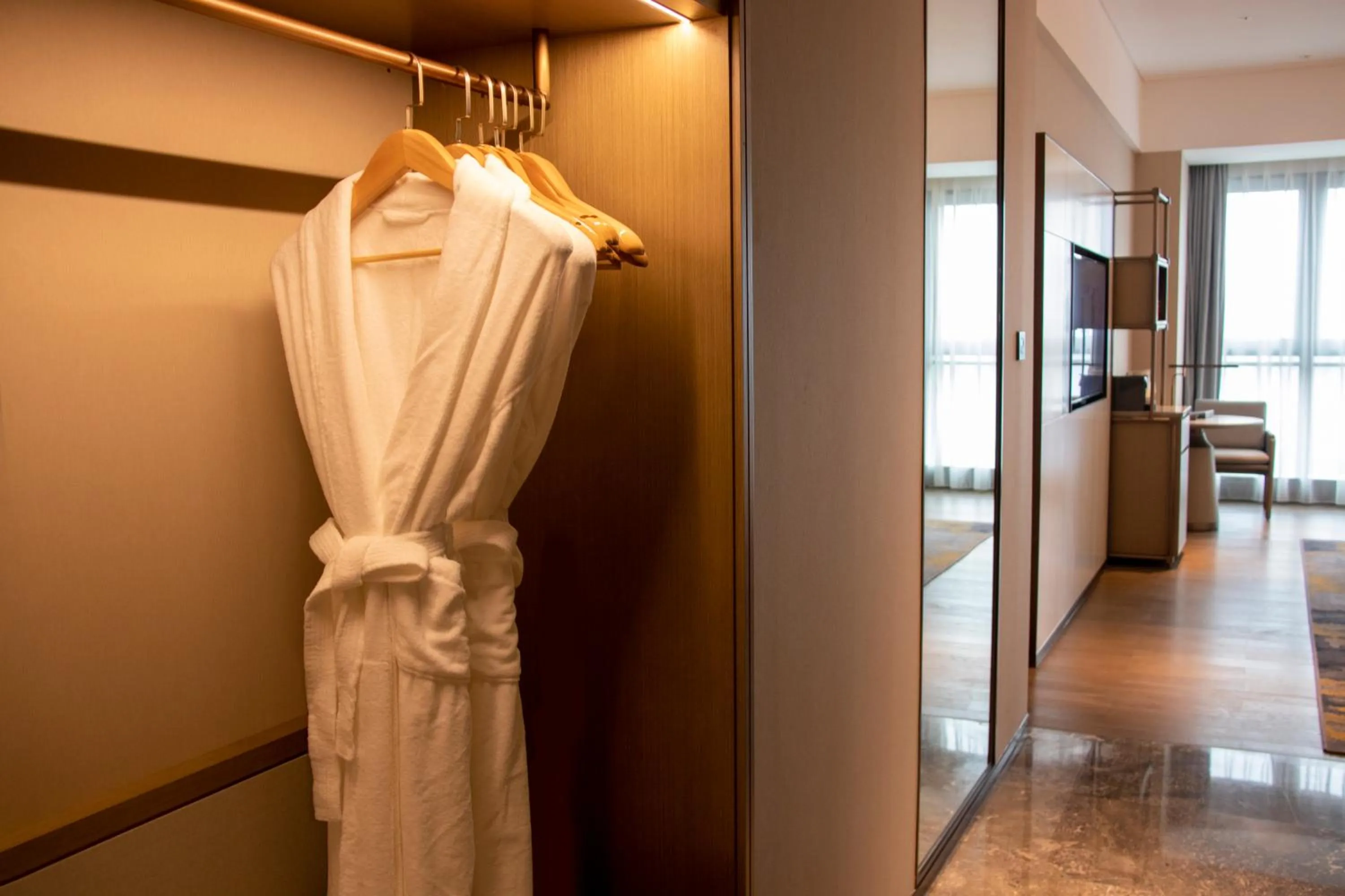wardrobe in Guangzhou Pazhou LN DongFang Hotel