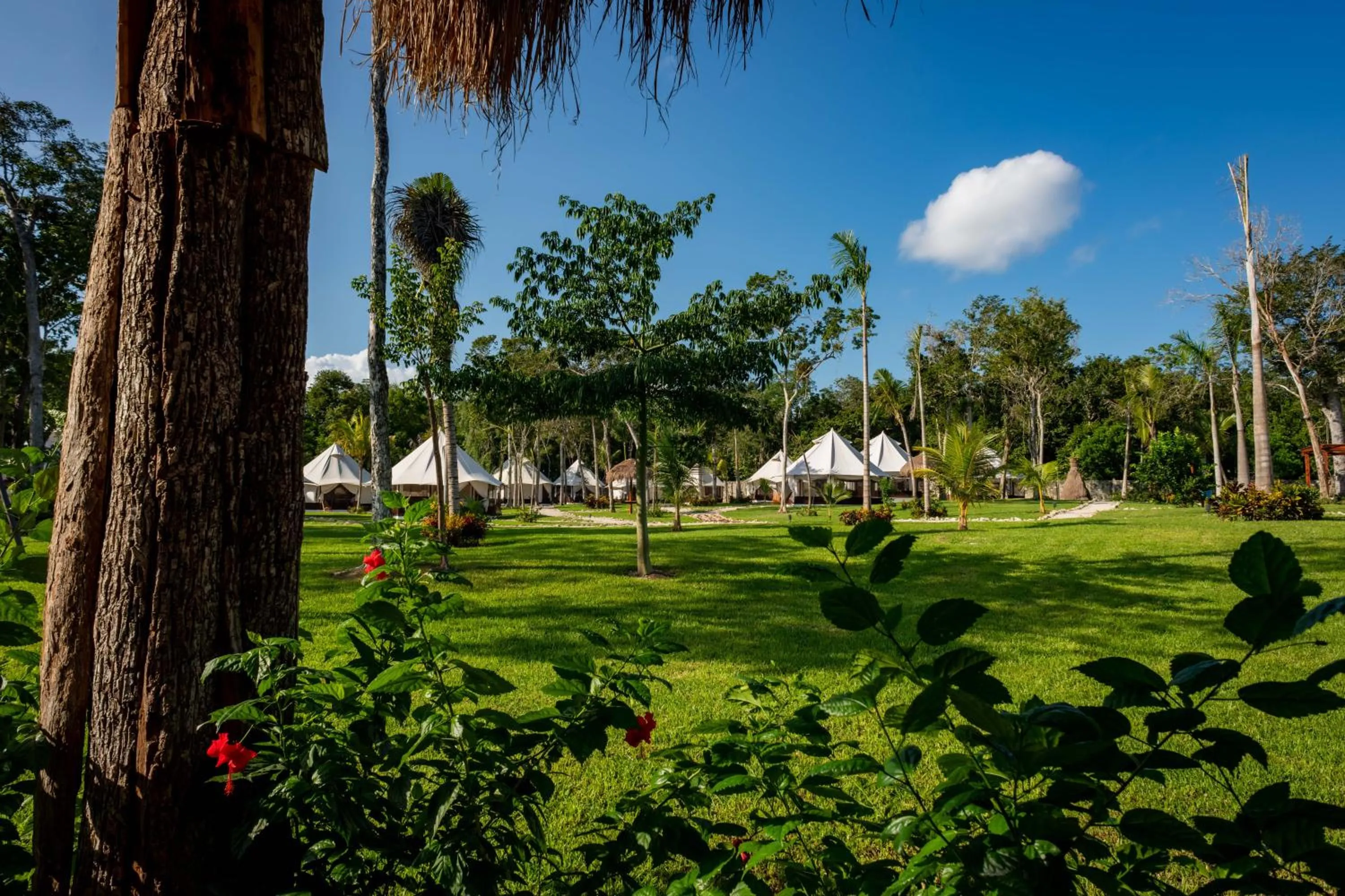 Garden in Xakluum Eco Glampings