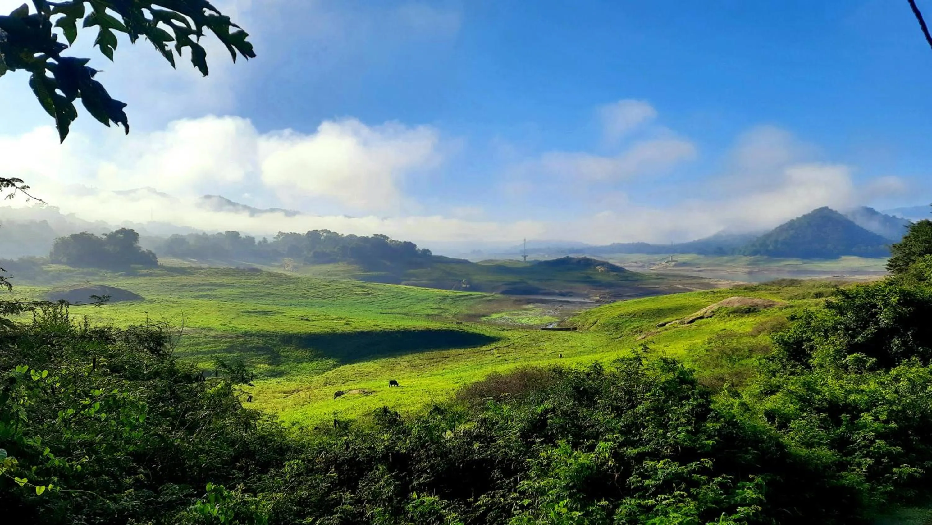Natural landscape in castle palace kandy