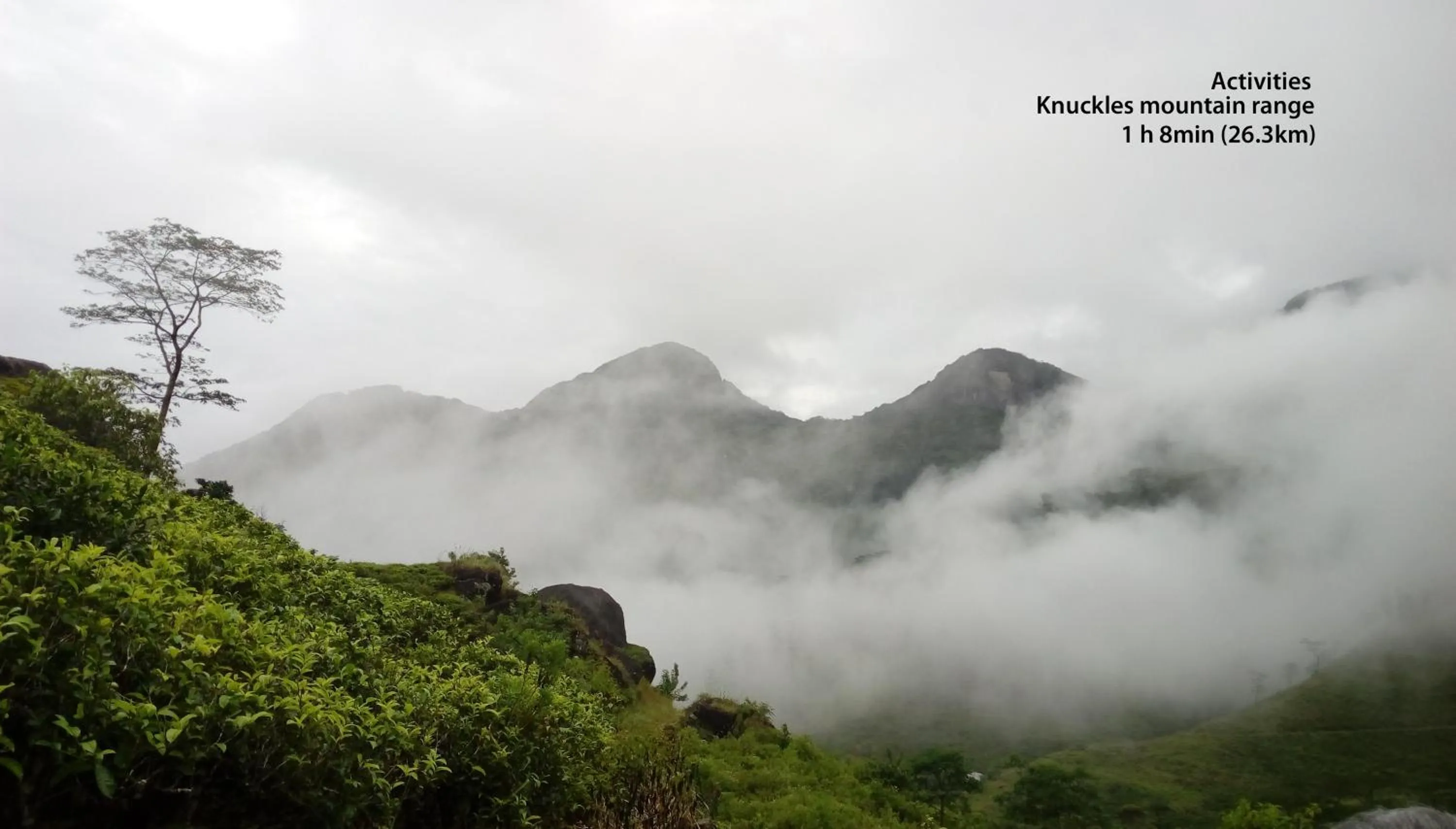 Activities in castle palace kandy