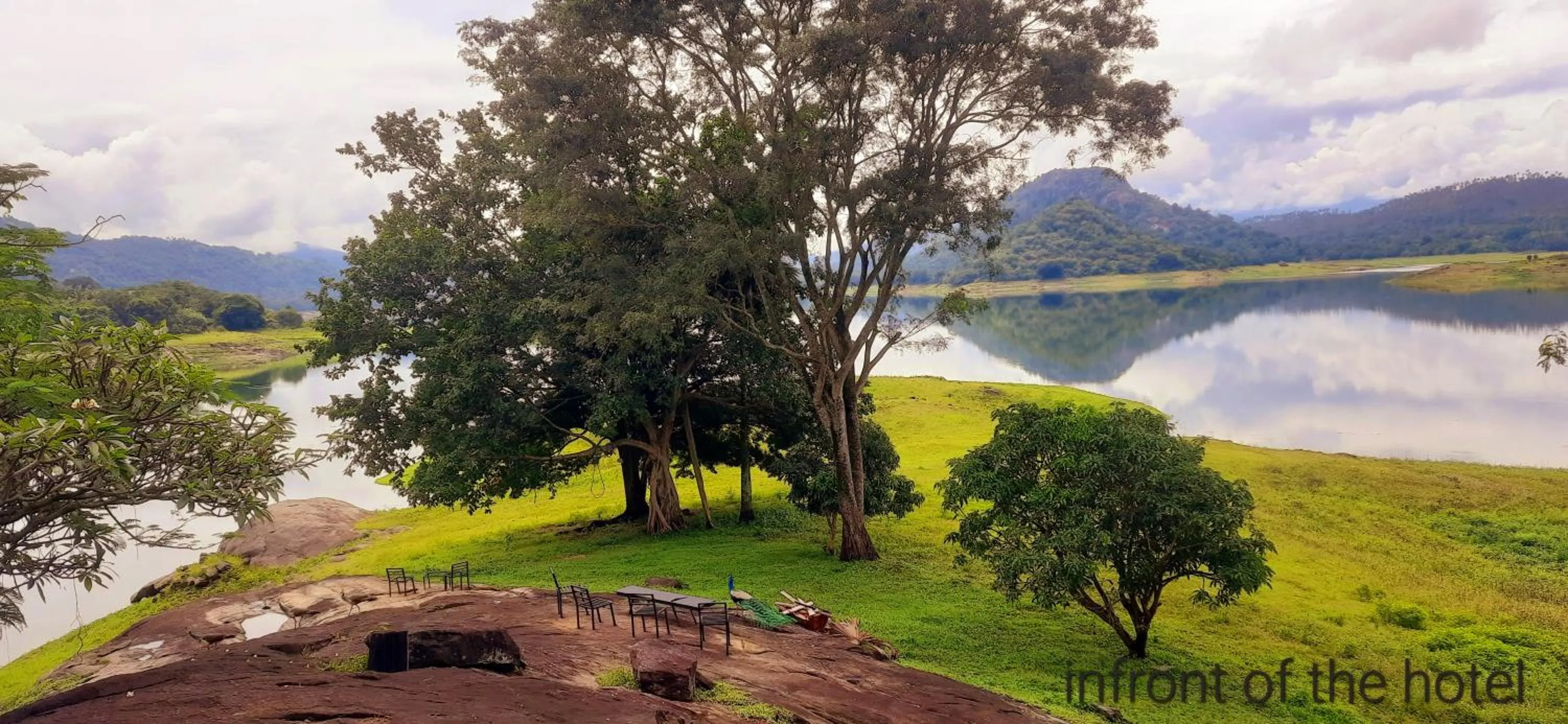Natural landscape in castle palace kandy