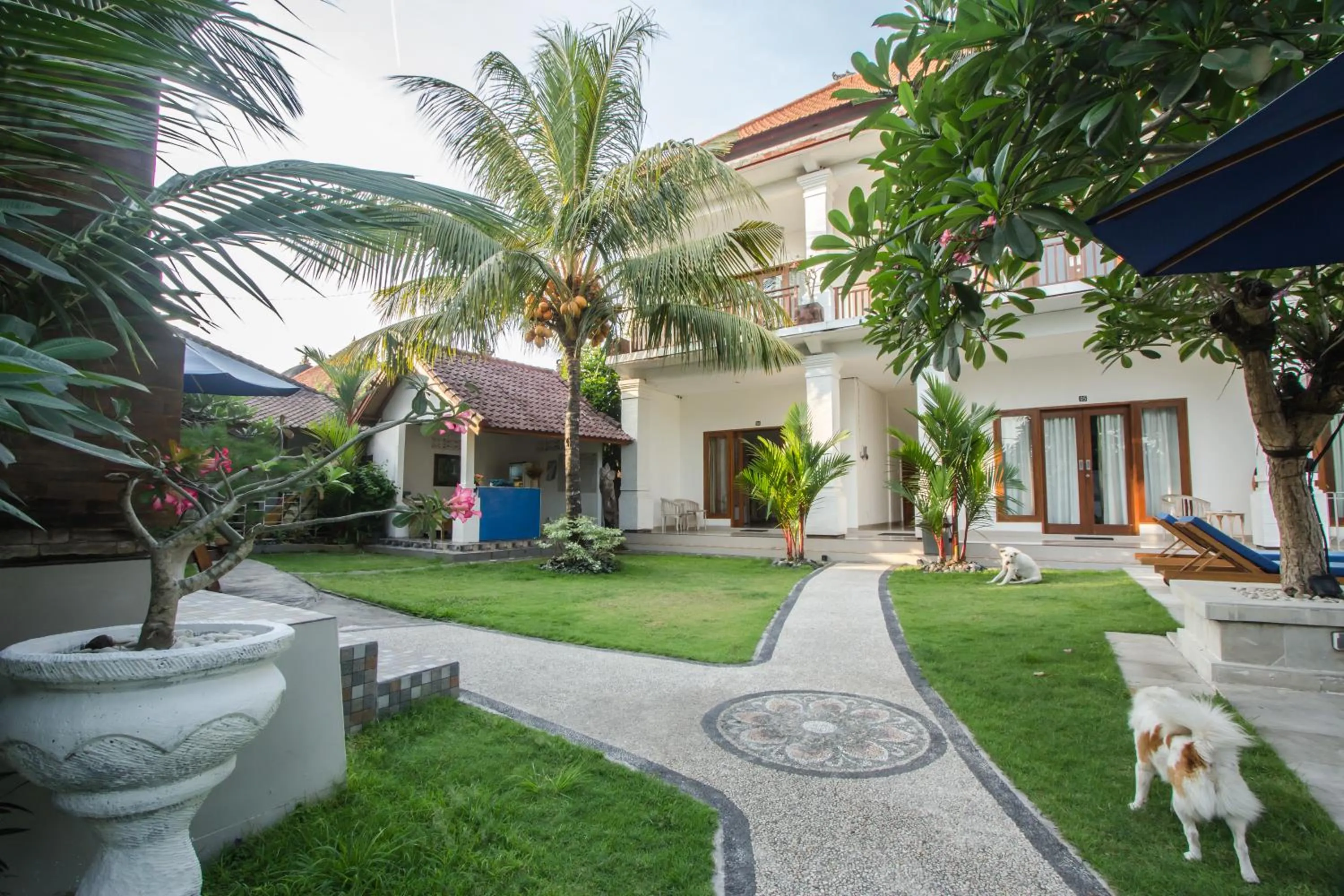 Garden in Bali Billy Village