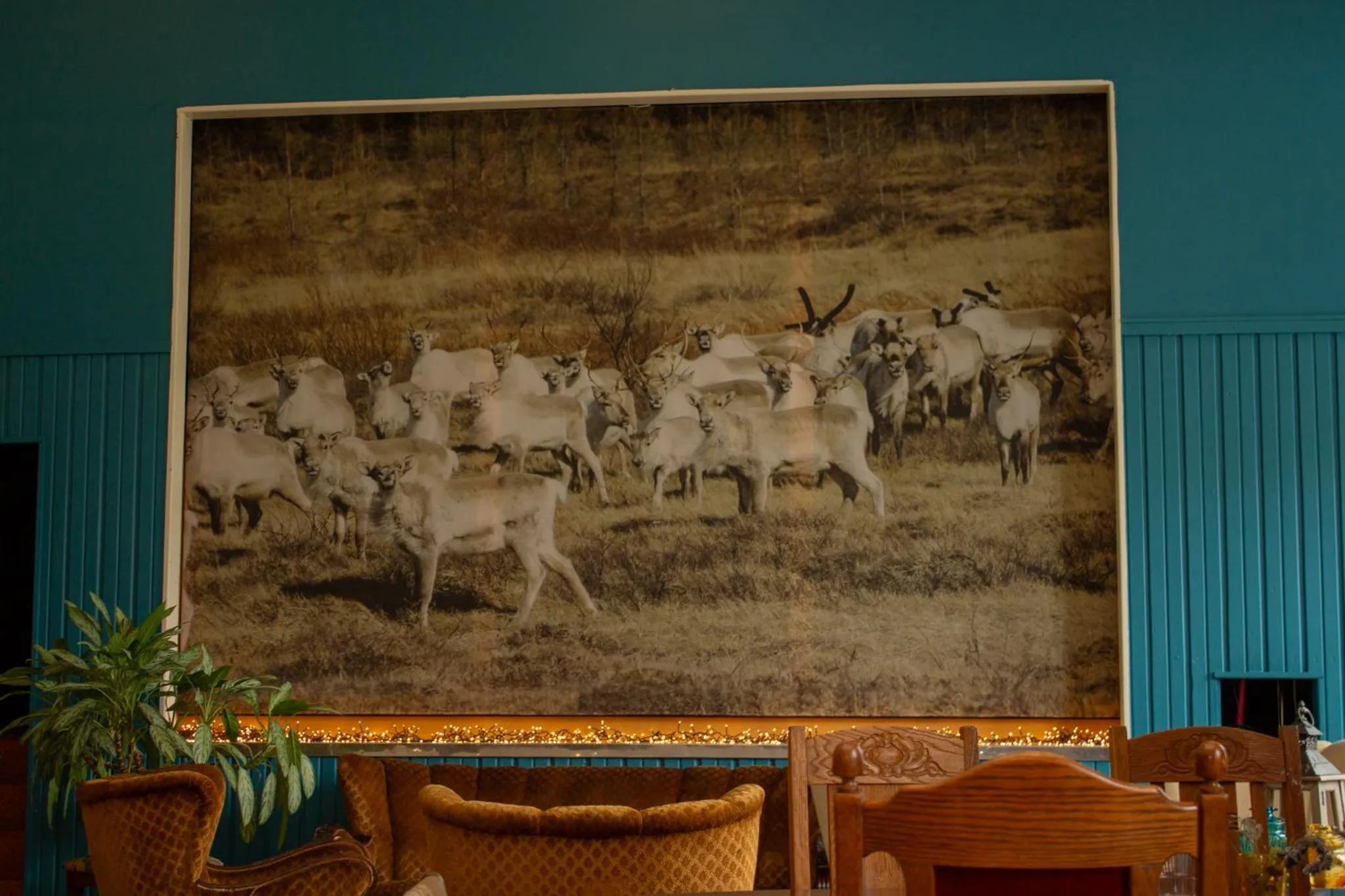 Restaurant/places to eat in Hotel Studlagil