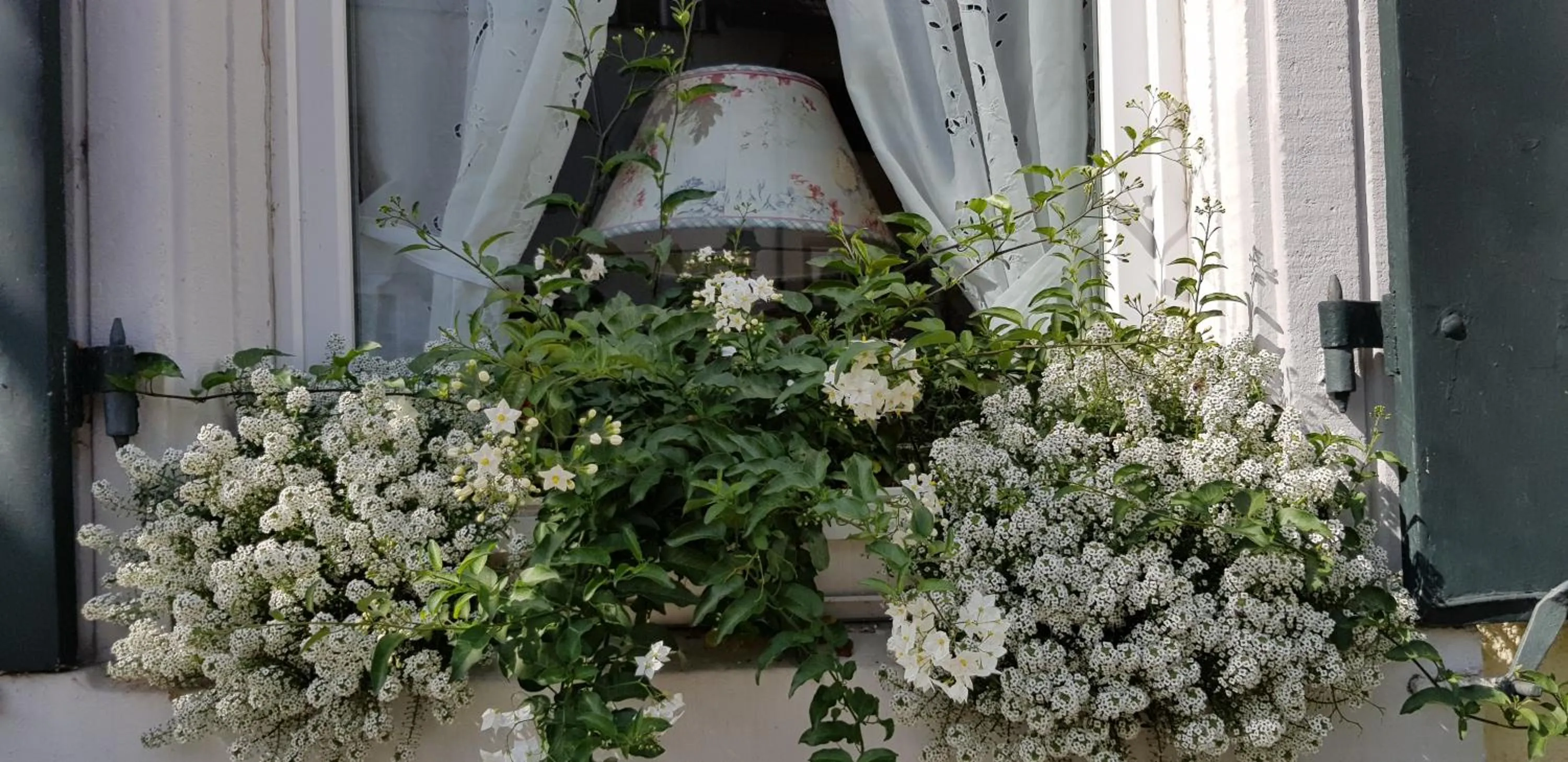 Property building in Gasthaus Sternen Post
