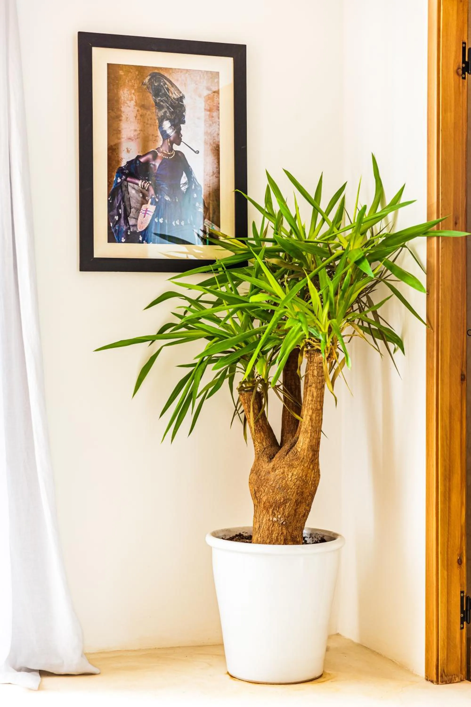 Pure House Marrakech