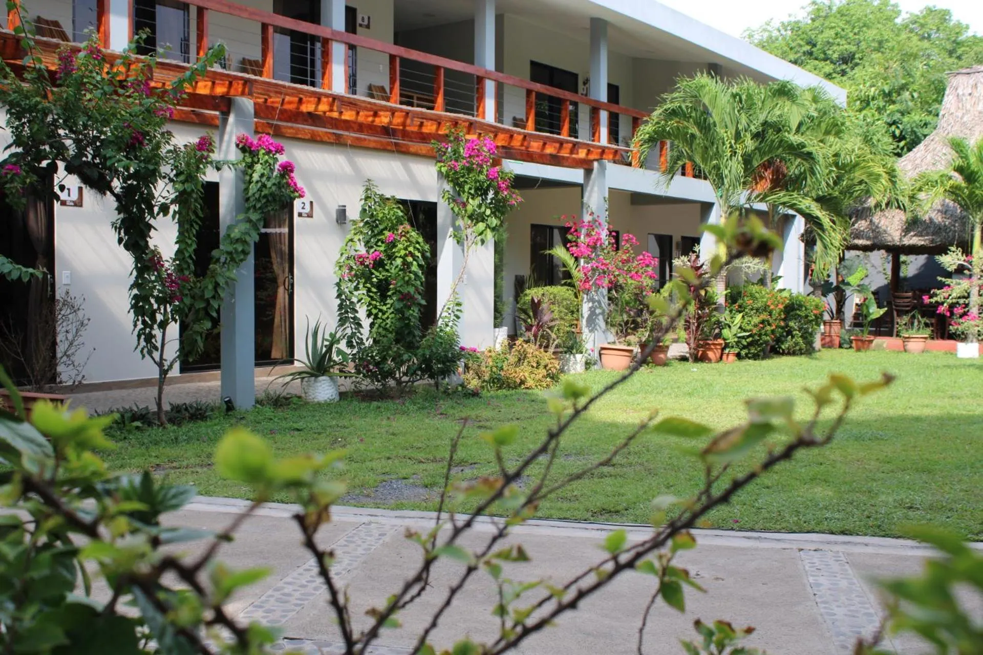 Garden in HOTEL EL VIAJERO
