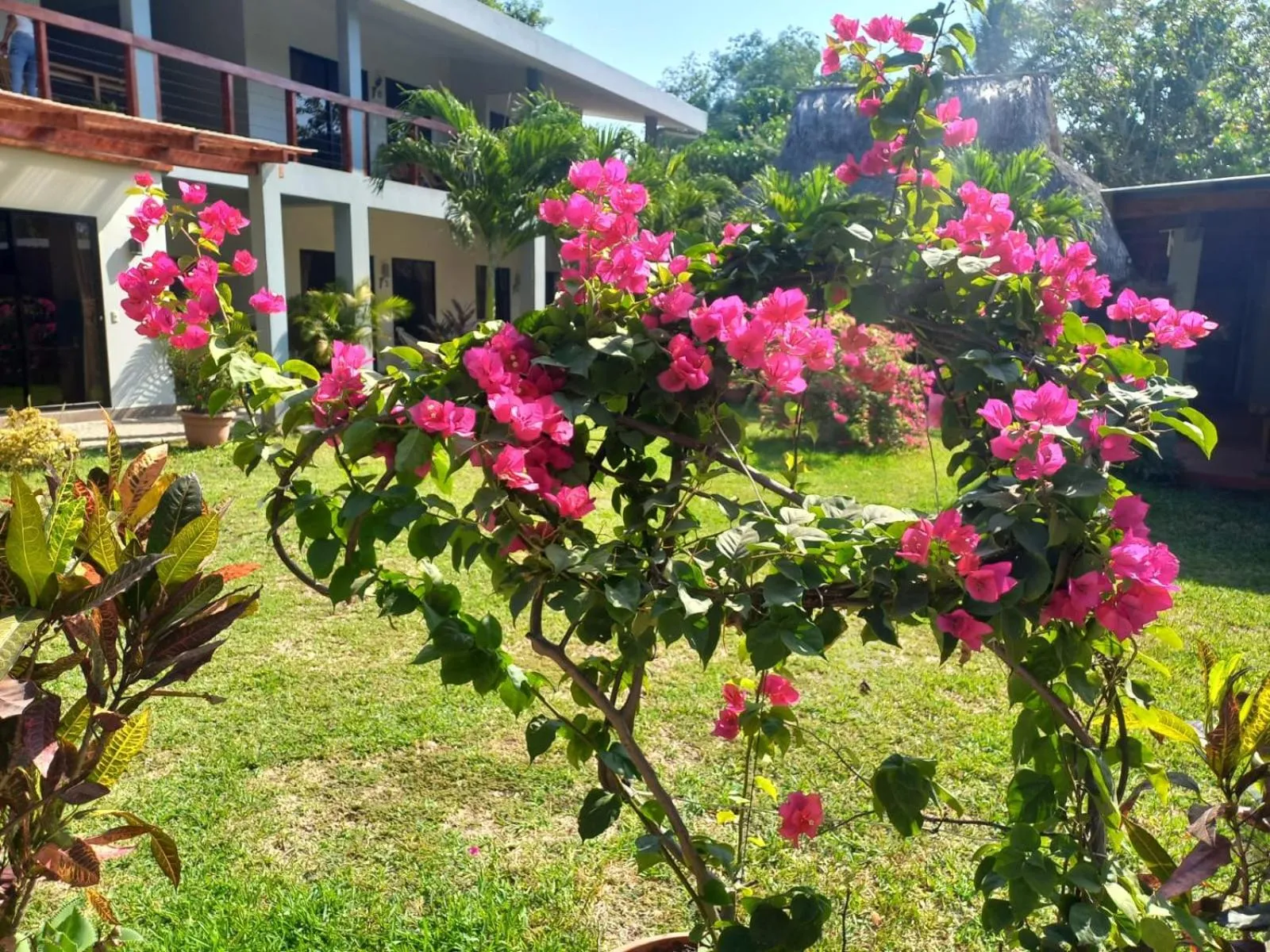 Garden in HOTEL EL VIAJERO