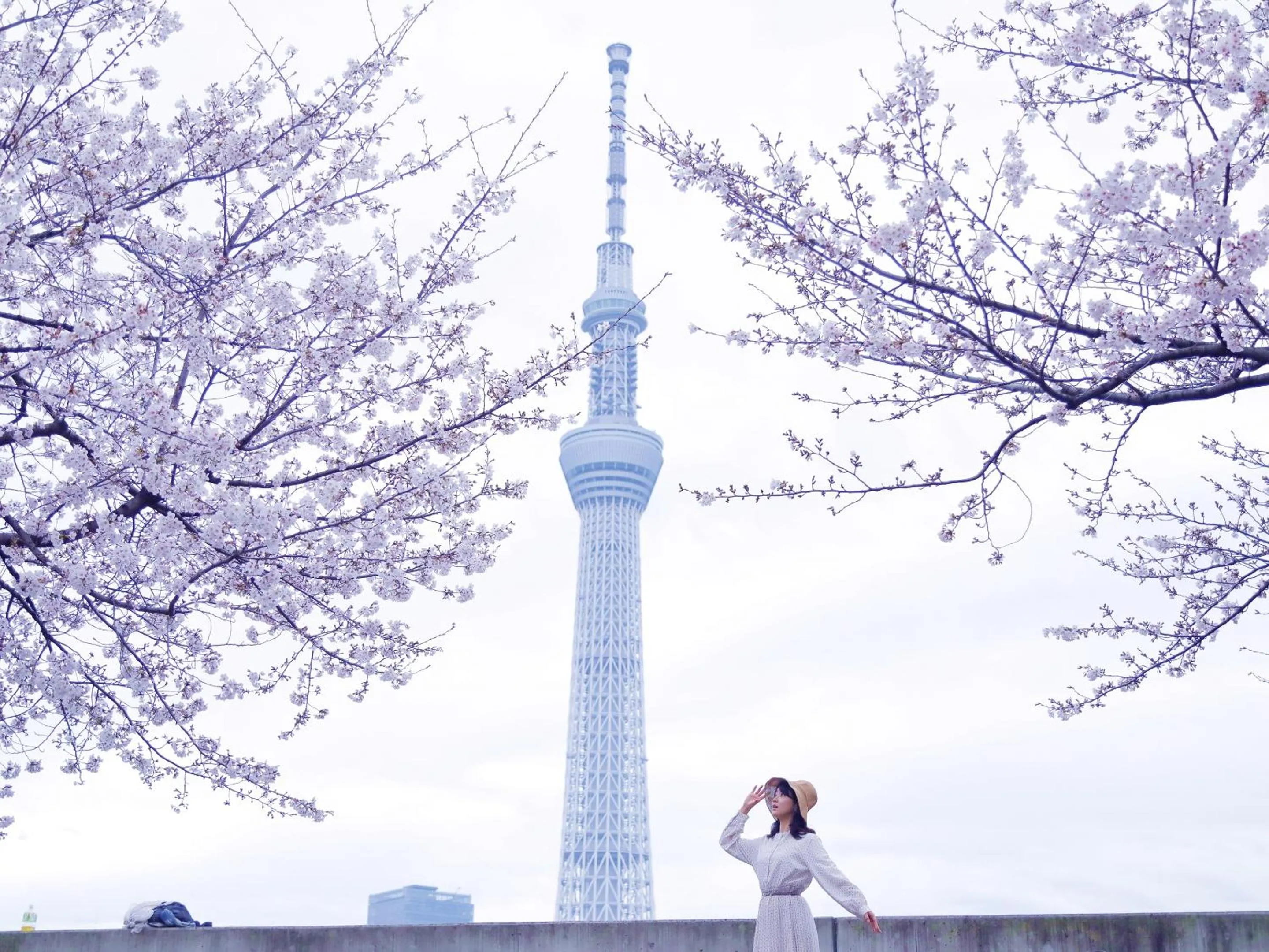Nearby landmark in &Here TOKYO UENO