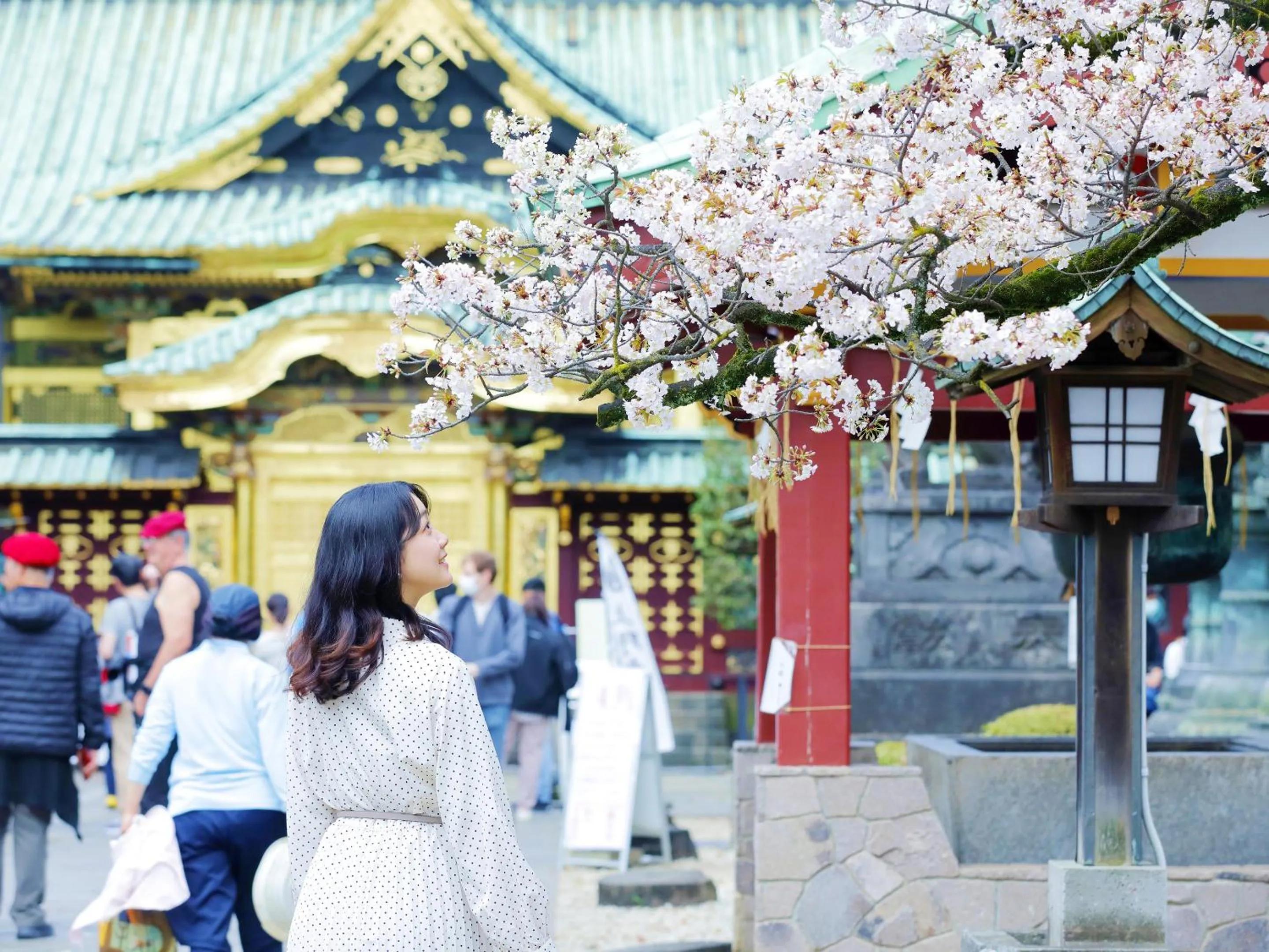 Nearby landmark in &Here TOKYO UENO