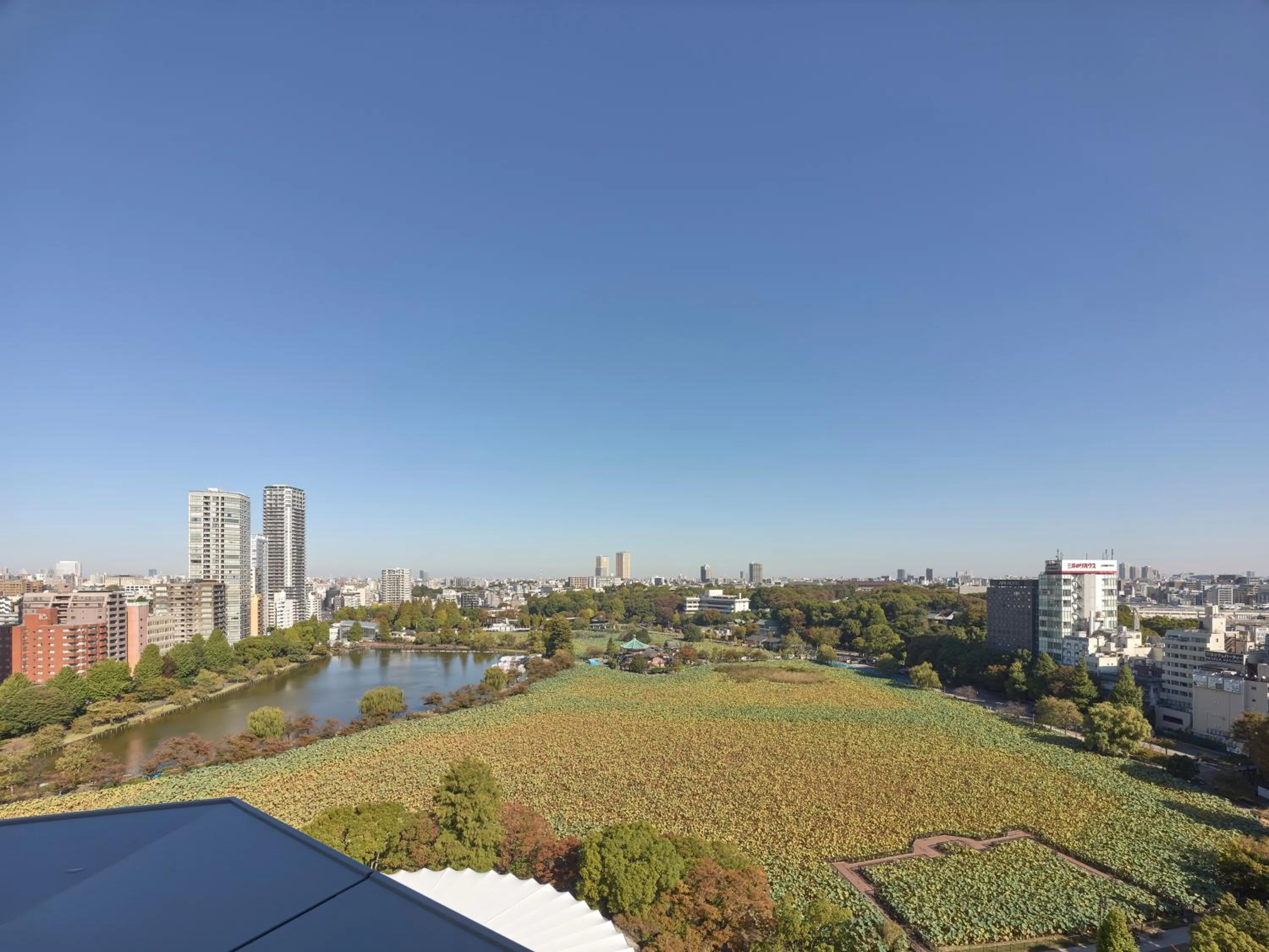 Natural landscape in &Here TOKYO UENO