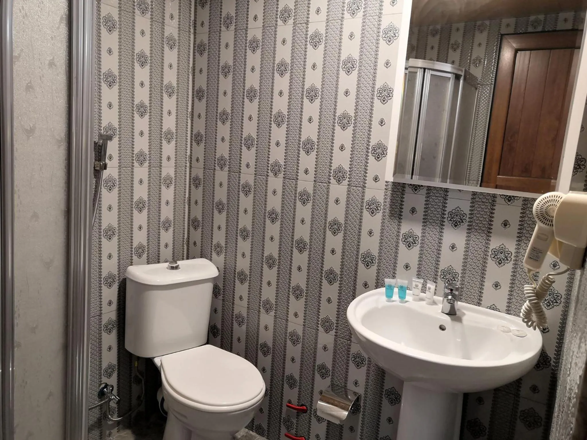 Toilet in Hotel My Rose